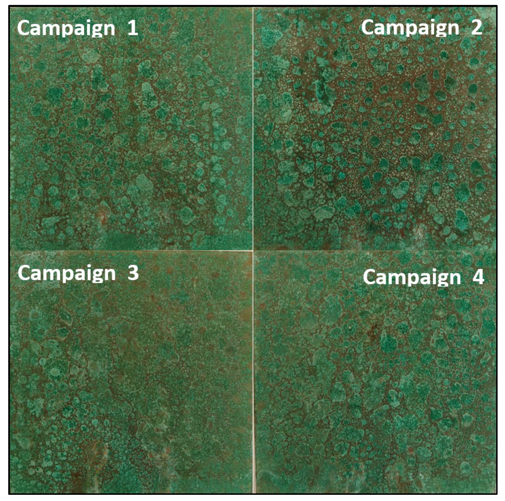 Coatings 09 00837 g014