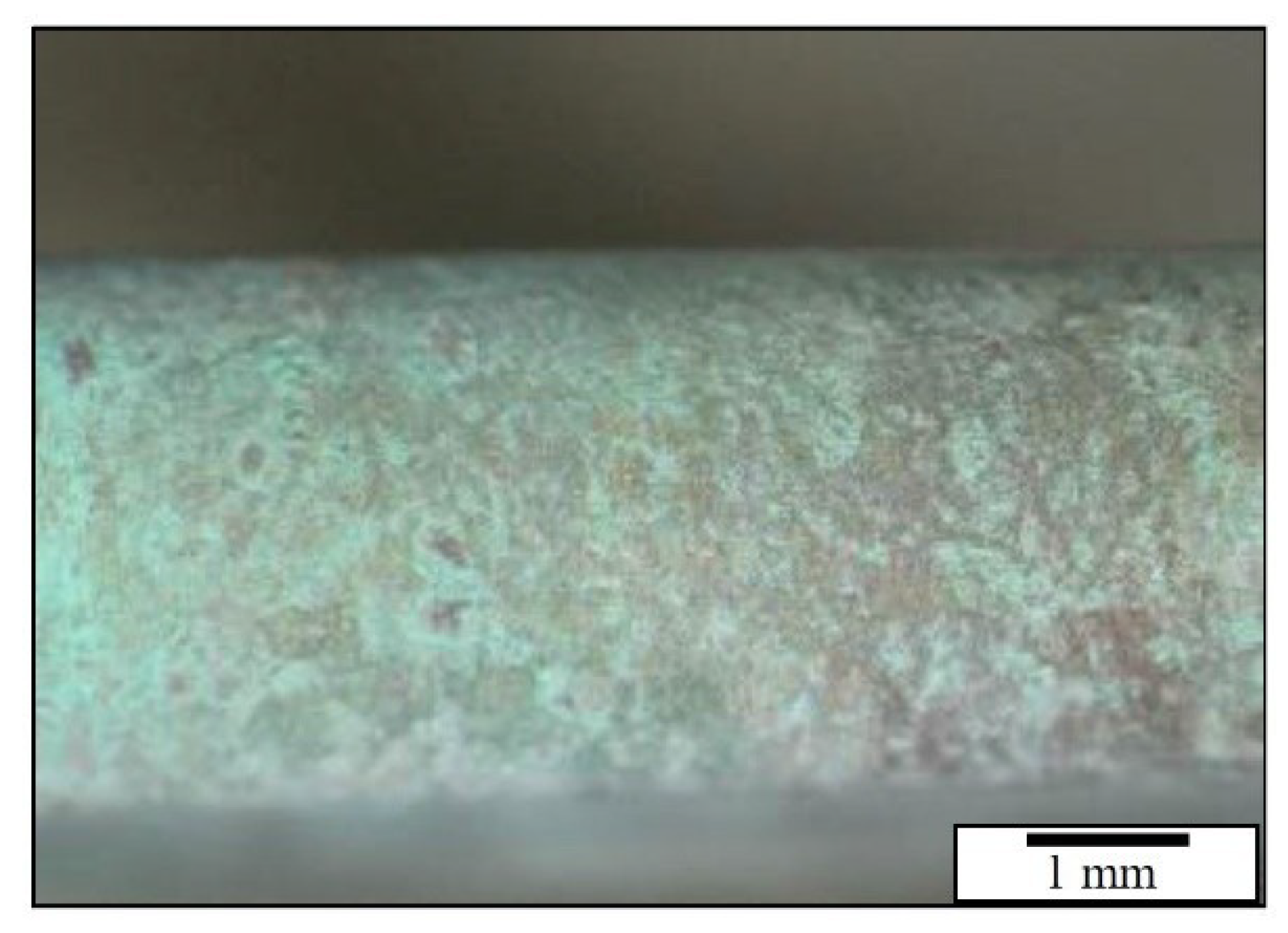 Coatings 09 00837 g015