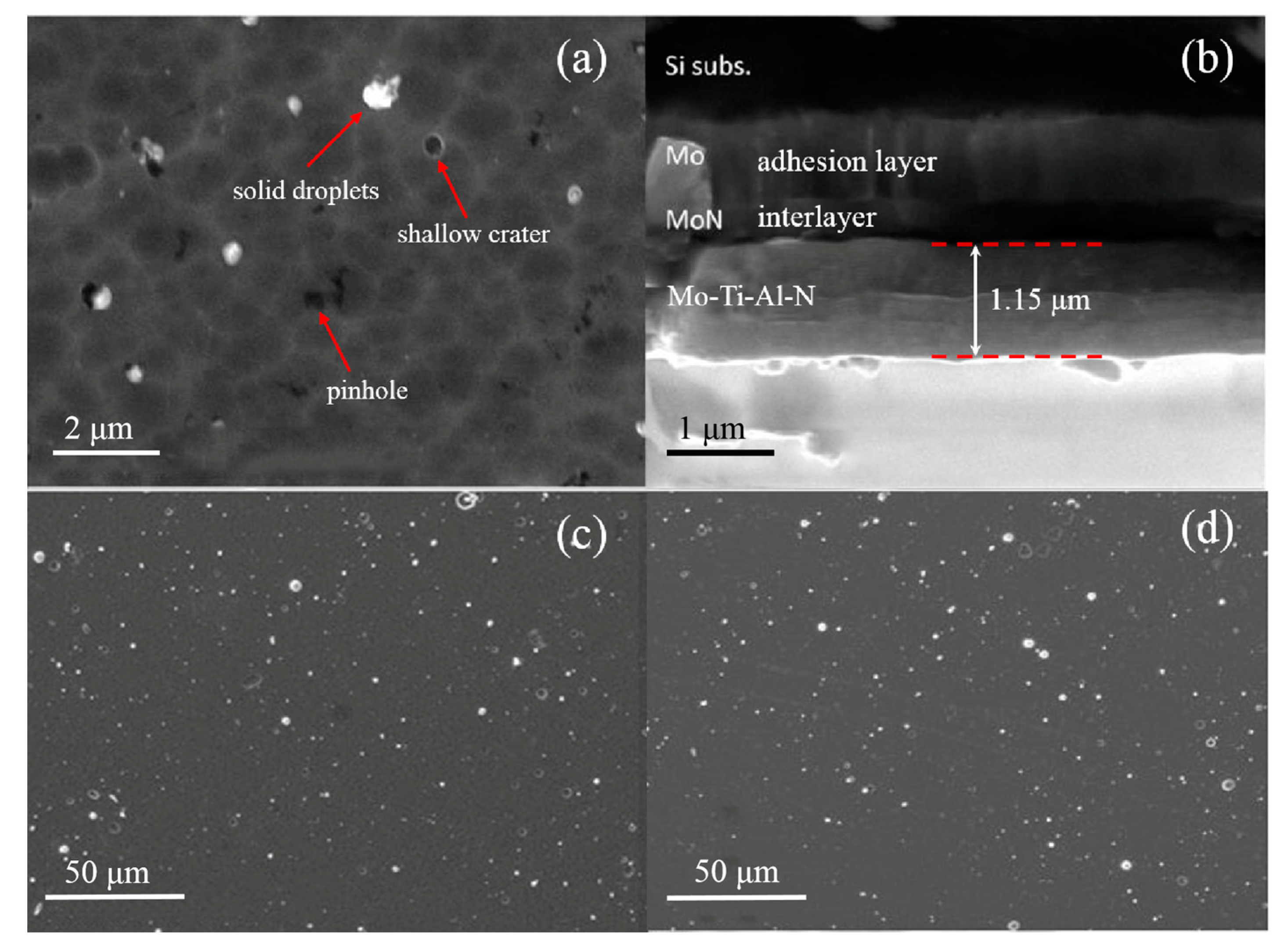 Coatings 10 00101 g003