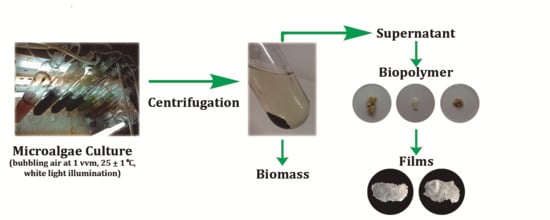 Coatings Free Full Text Production Preparation And Characterization Of Microalgae Based Biopolymer As A Potential Bioactive Film Html