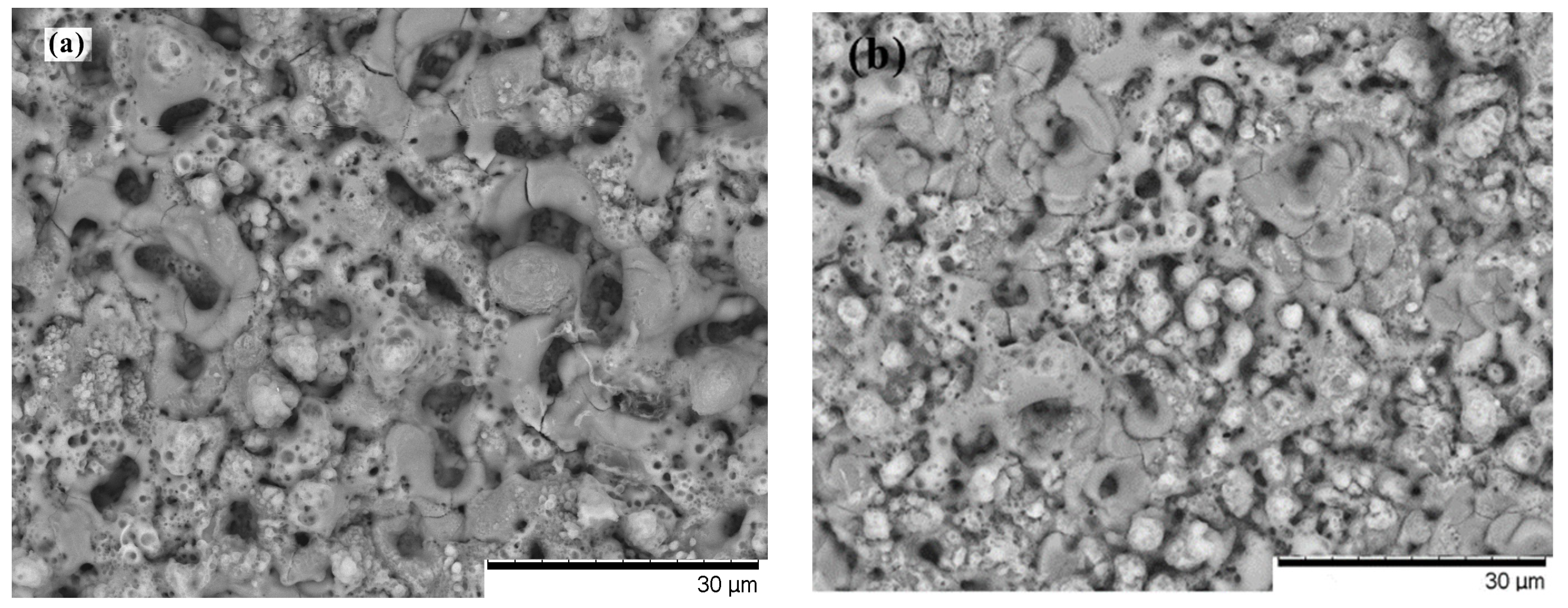 Coatings 10 00128 g004