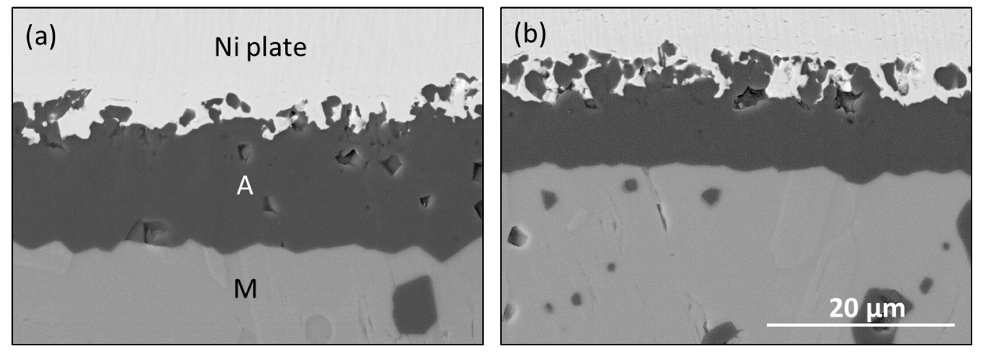 Coatings | Free Full-Text | Relative Ti2AlC Scale Volatility under 1300 ...