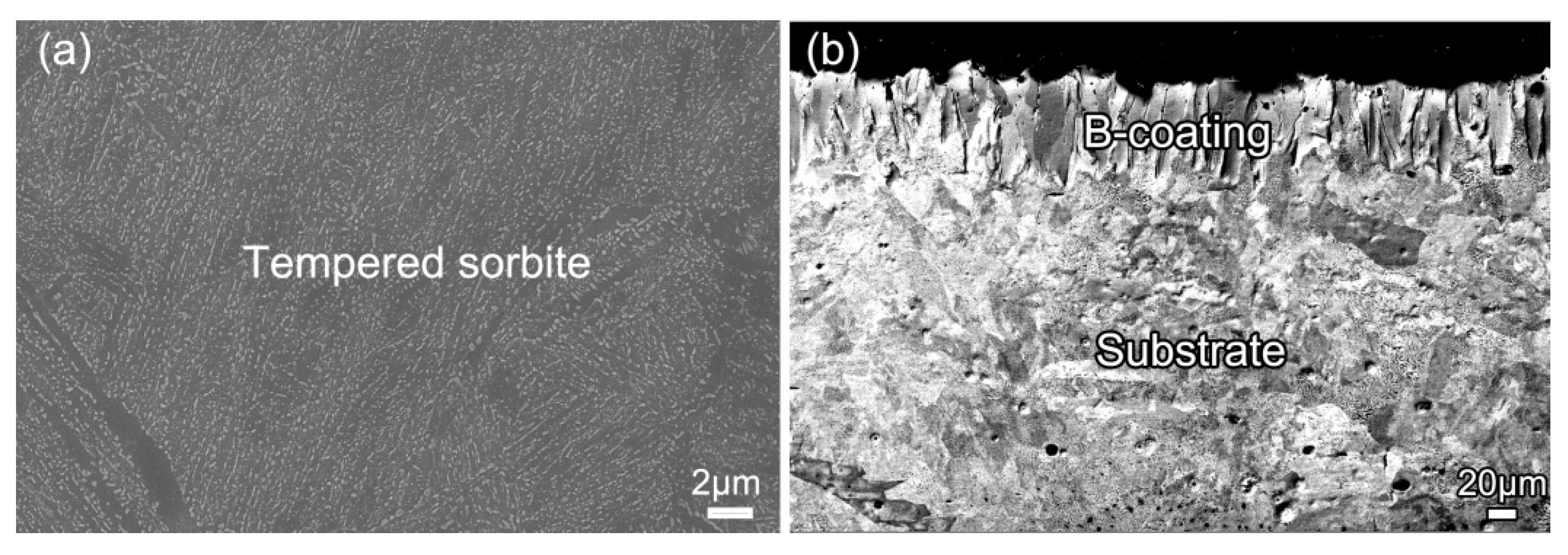 Coatings 10 00159 g002 Coatings 10 00159 g002