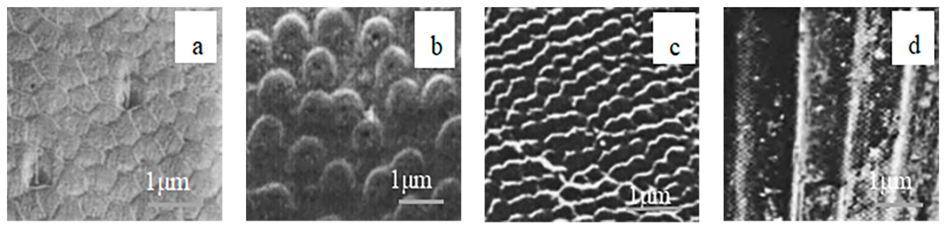 Coatings 10 00171 g003