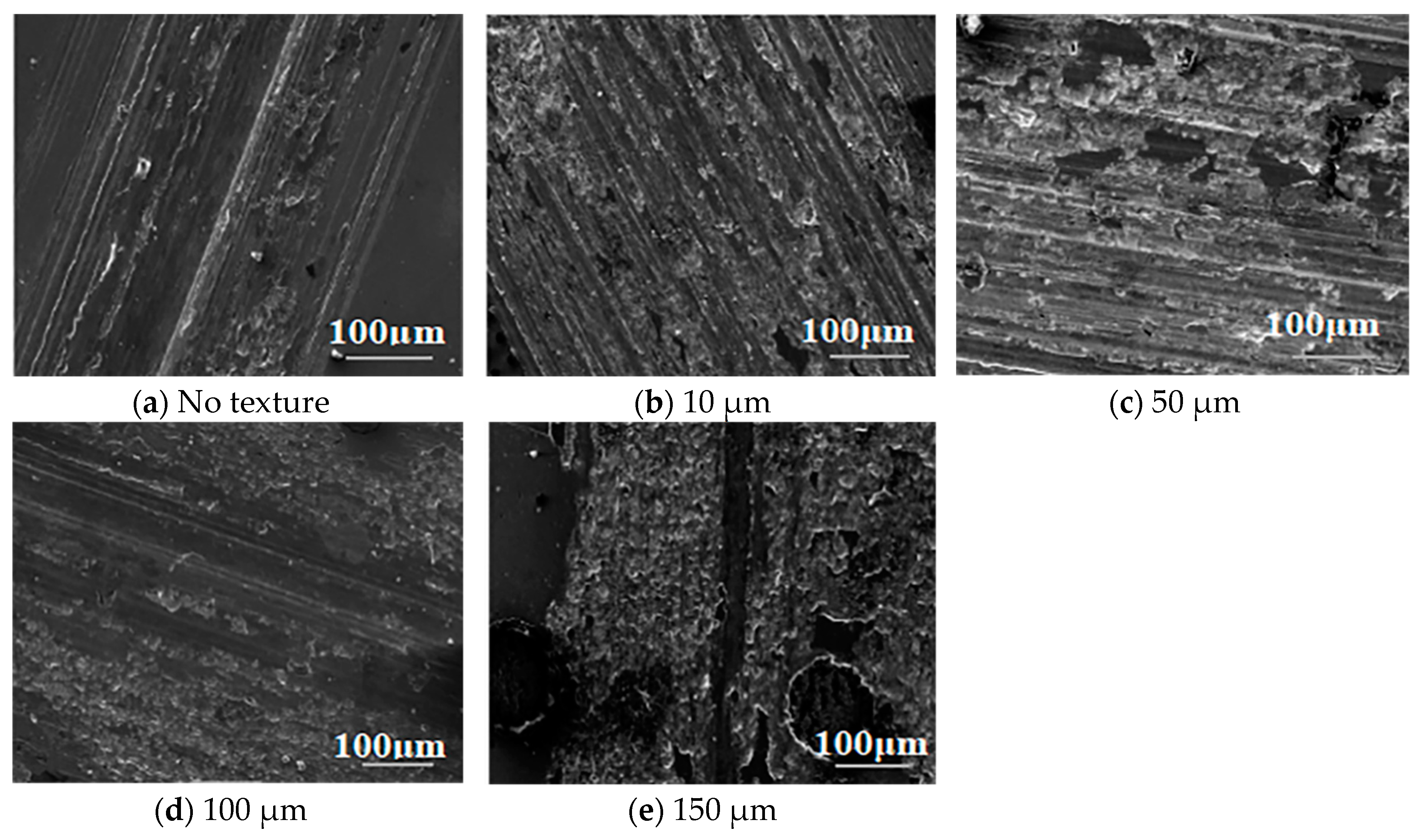 Coatings 10 00171 g004