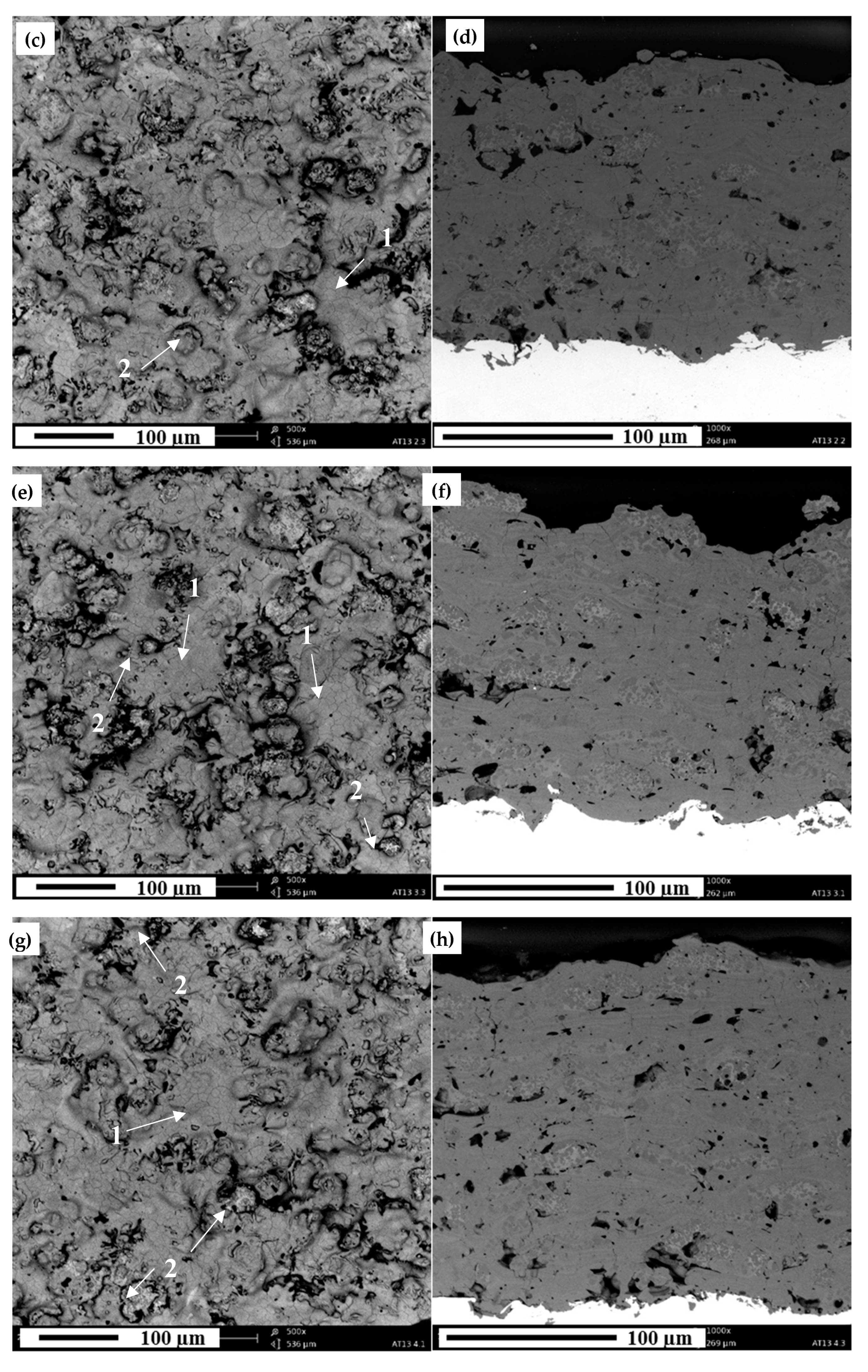 Coatings 10 00173 g004b Coatings 10 00173 g004b
