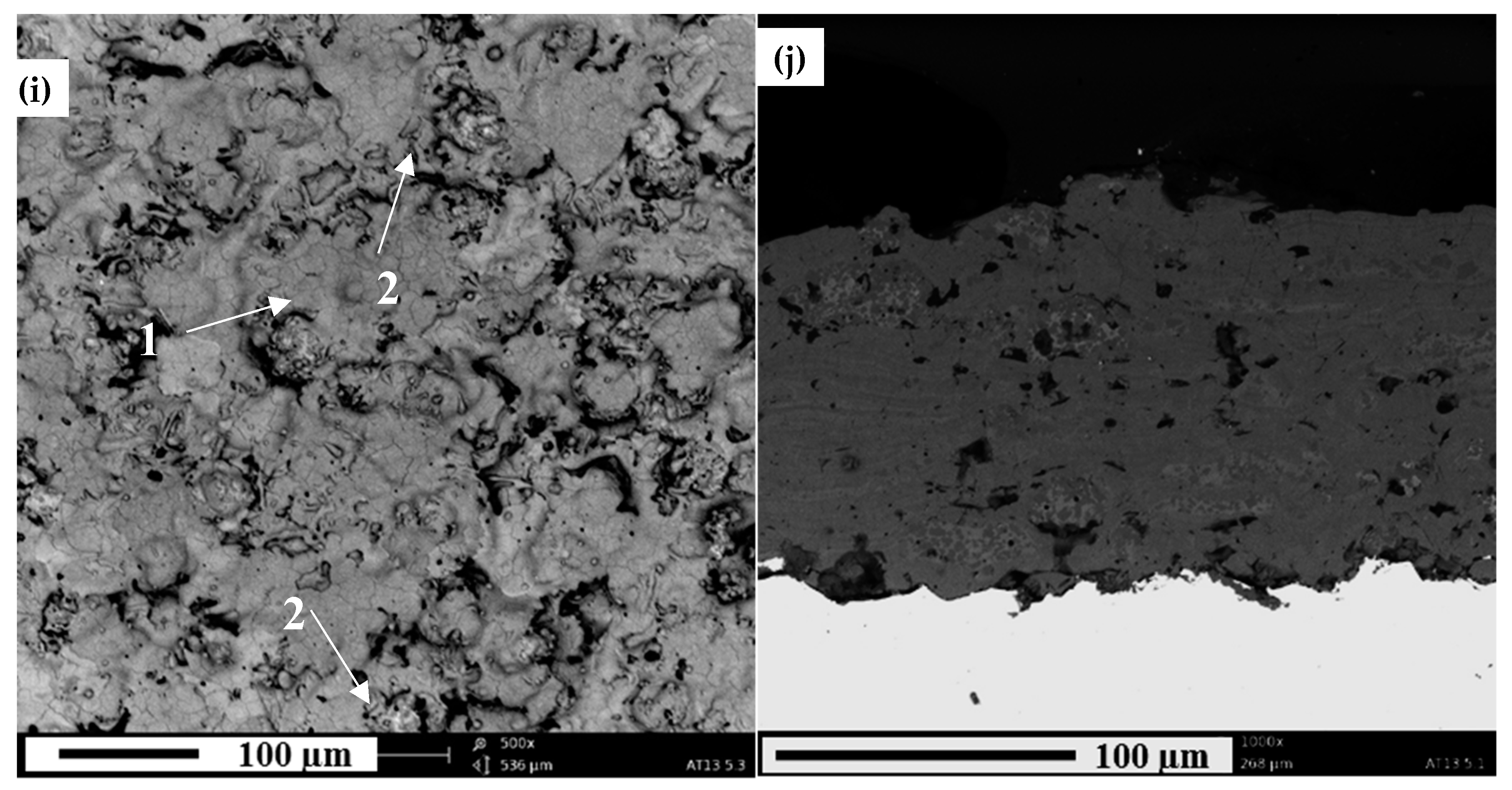 Coatings 10 00173 g004c Coatings 10 00173 g004c
