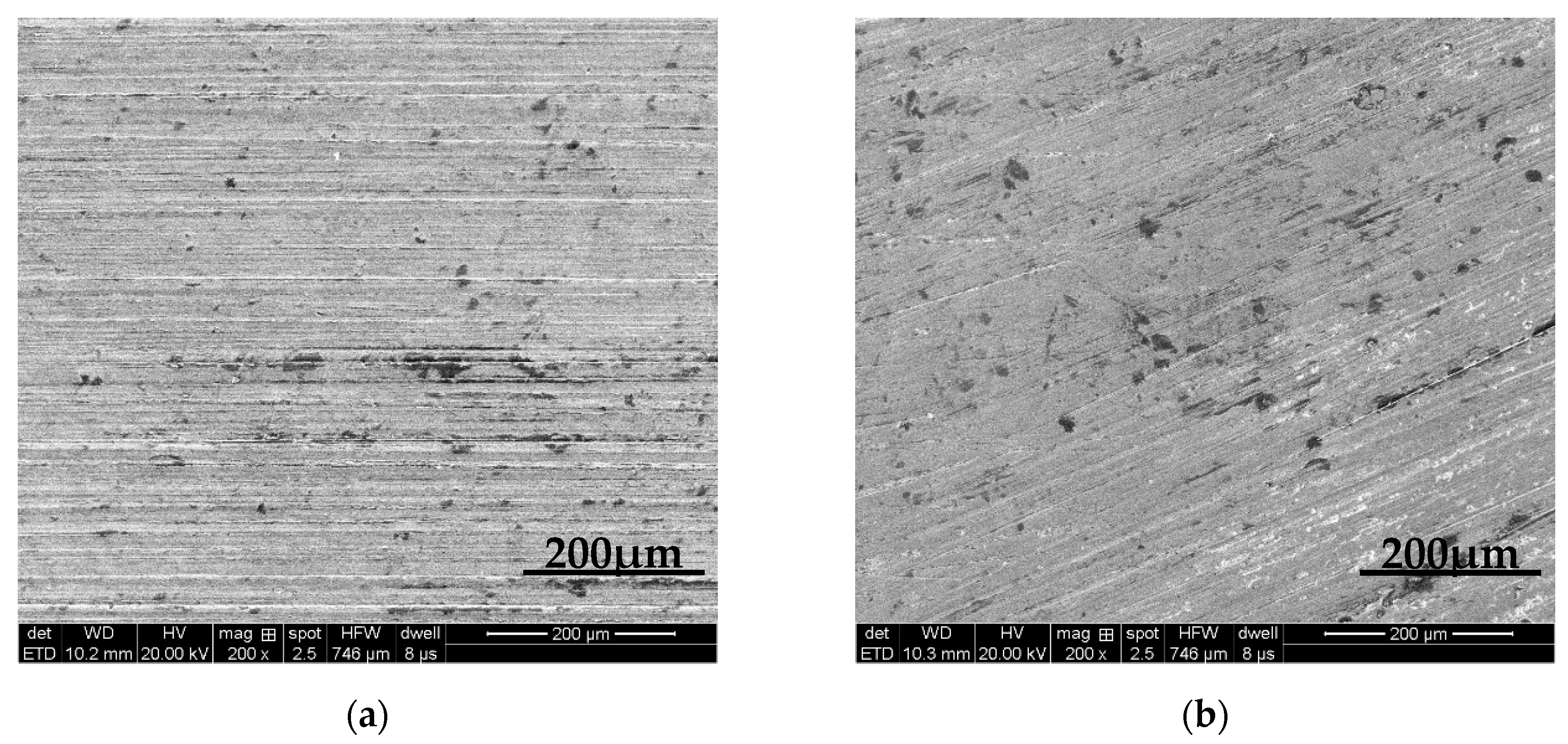 Coatings 10 00176 g007