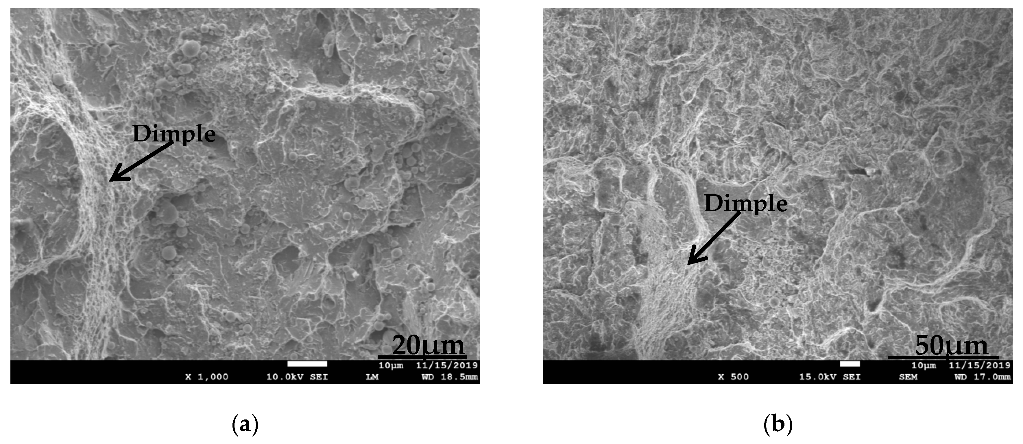 Coatings 10 00176 g011