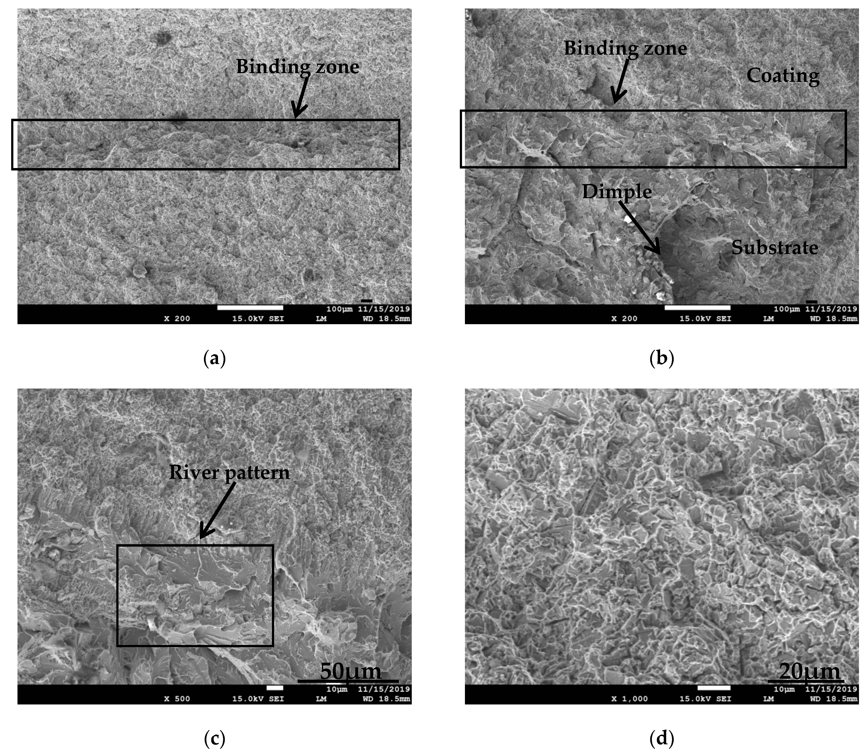 Coatings 10 00176 g012