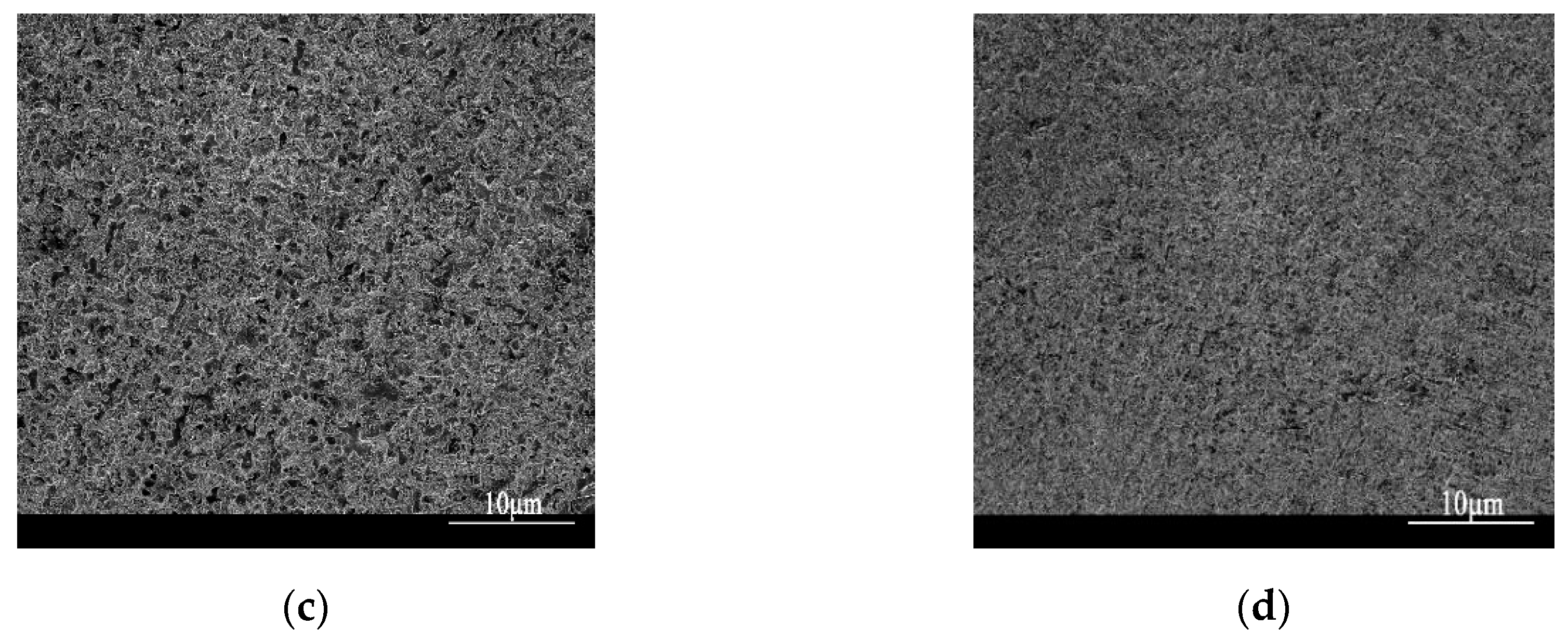 Coatings 10 00176 g014b