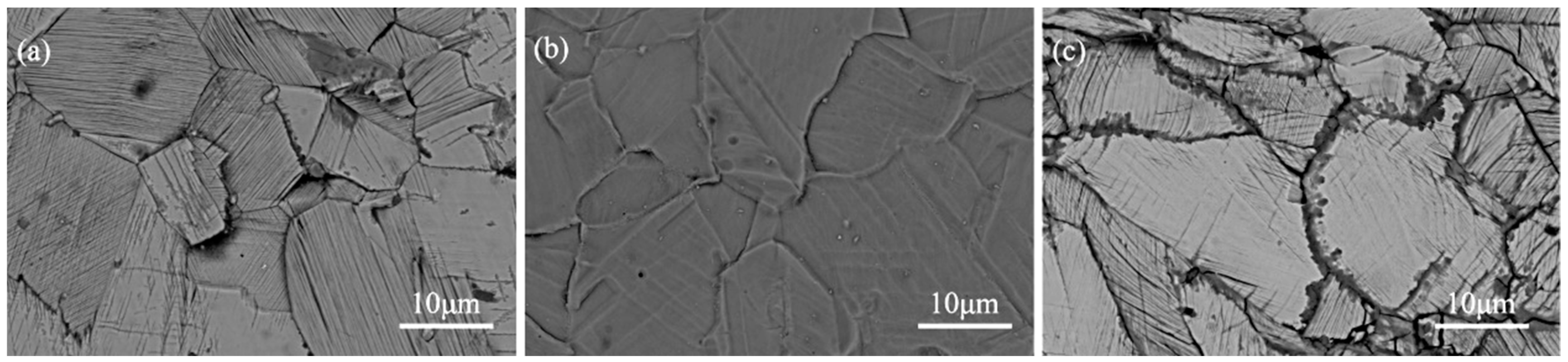 Coatings 10 00183 g003