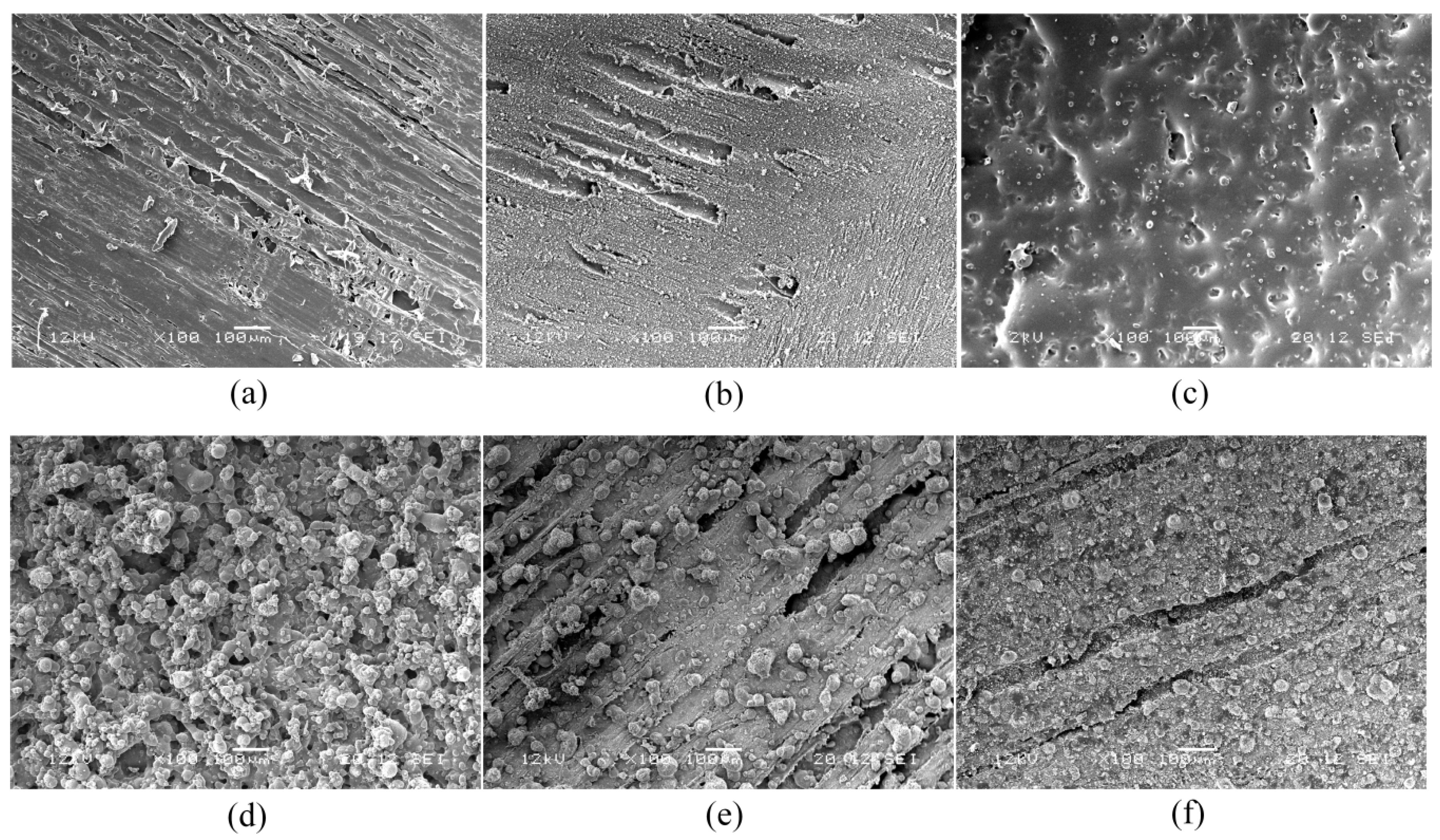 Coatings 10 00184 g002