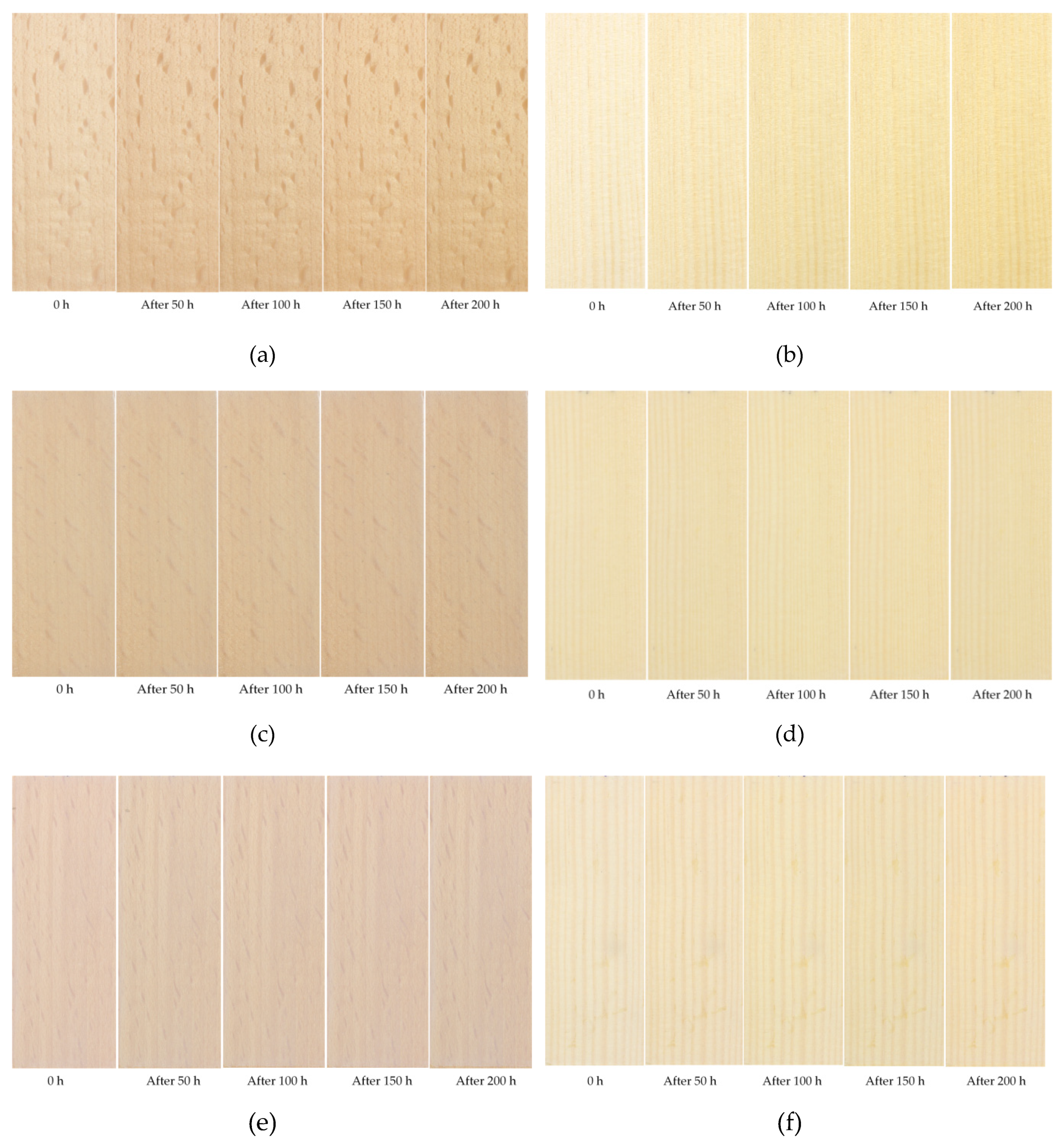 Coatings 10 00184 g007