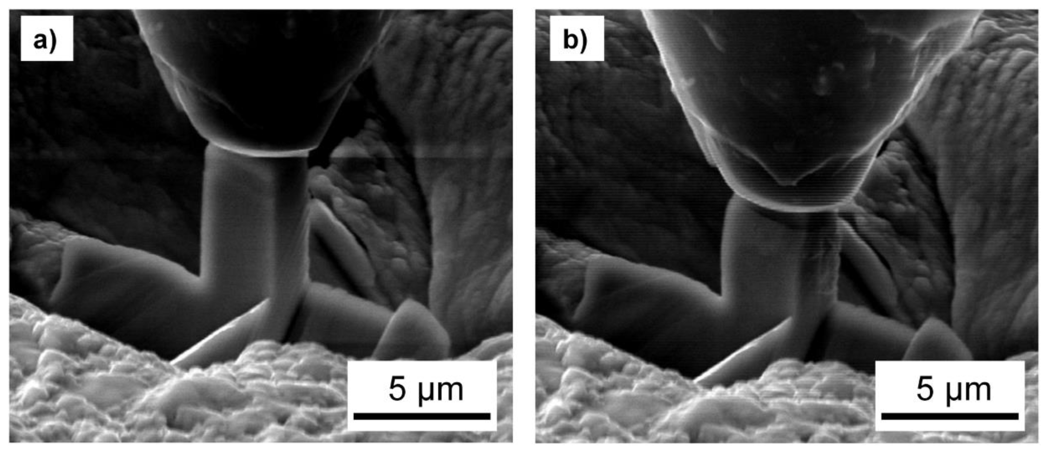 Coatings 10 00205 g004 Coatings 10 00205 g004