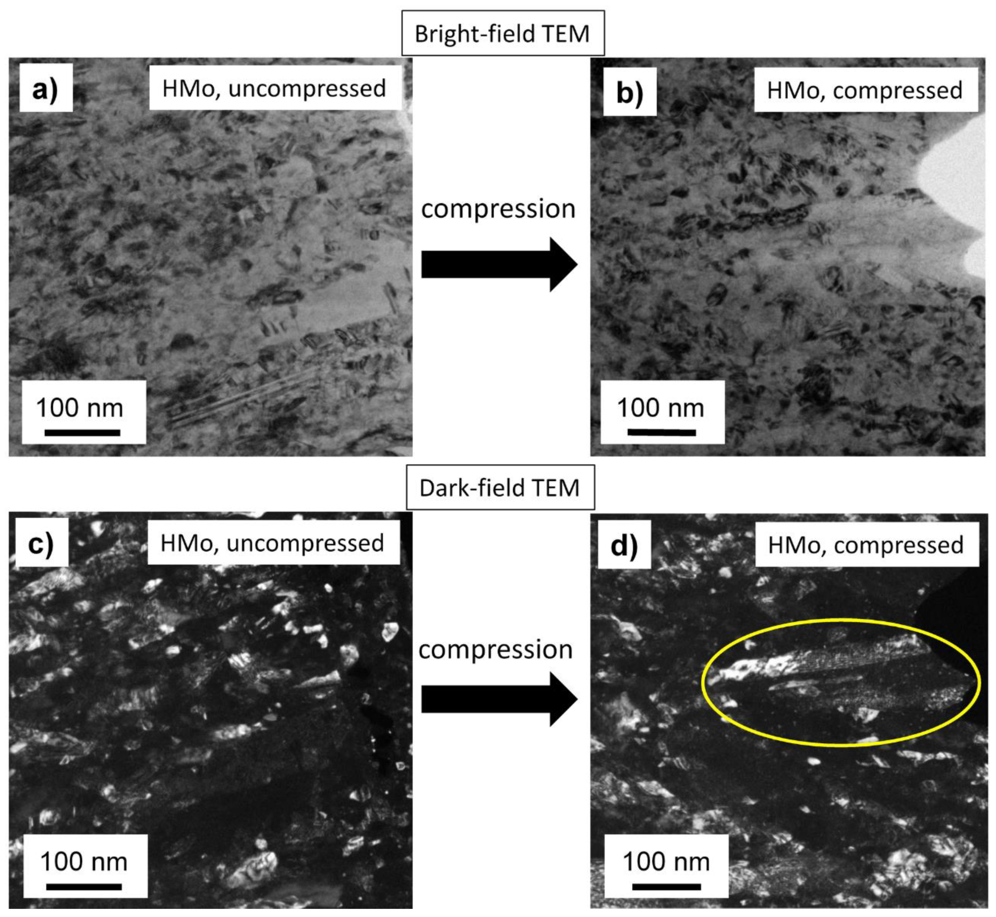 Coatings 10 00205 g006 Coatings 10 00205 g006