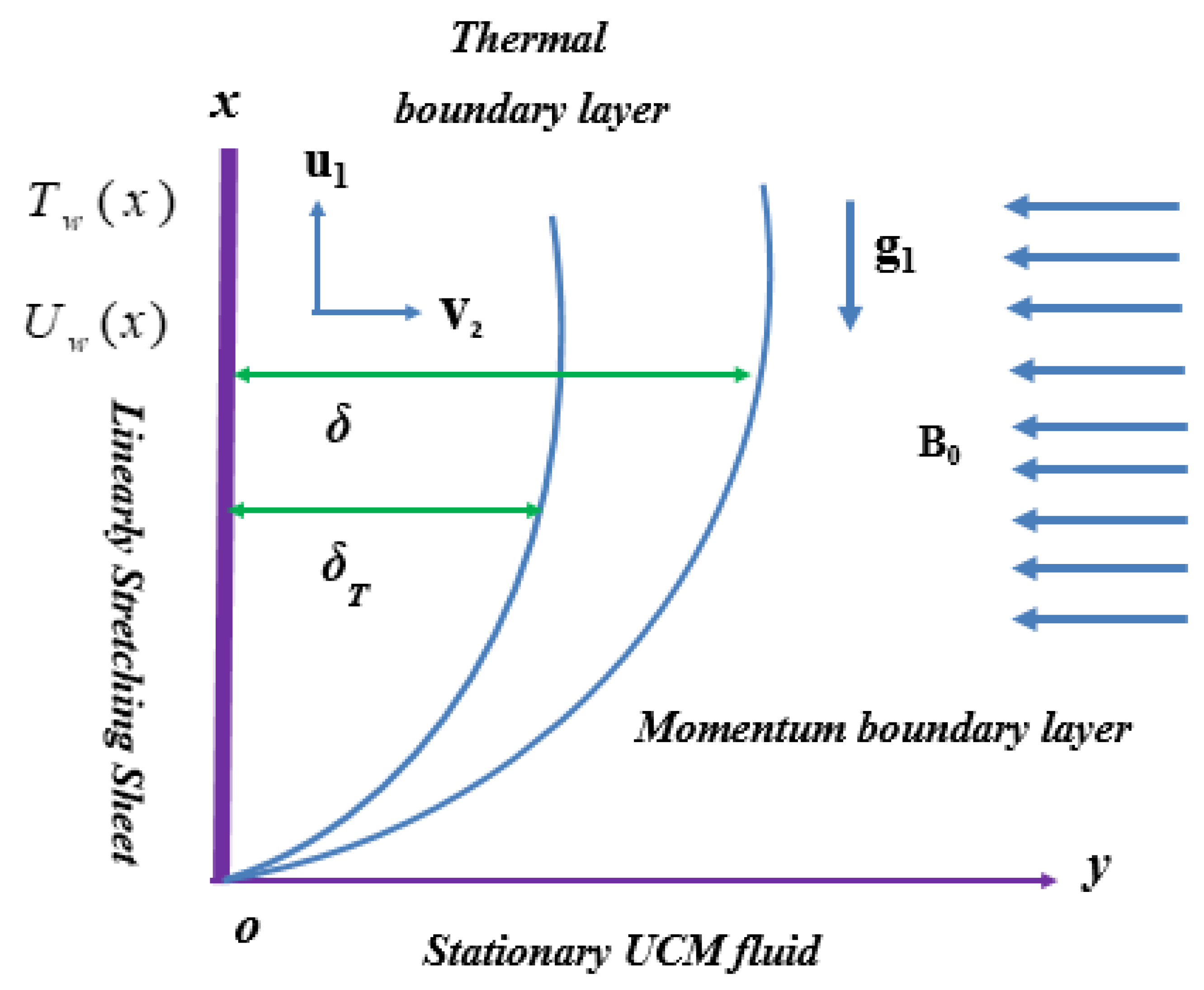 Coatings 10 00208 g001