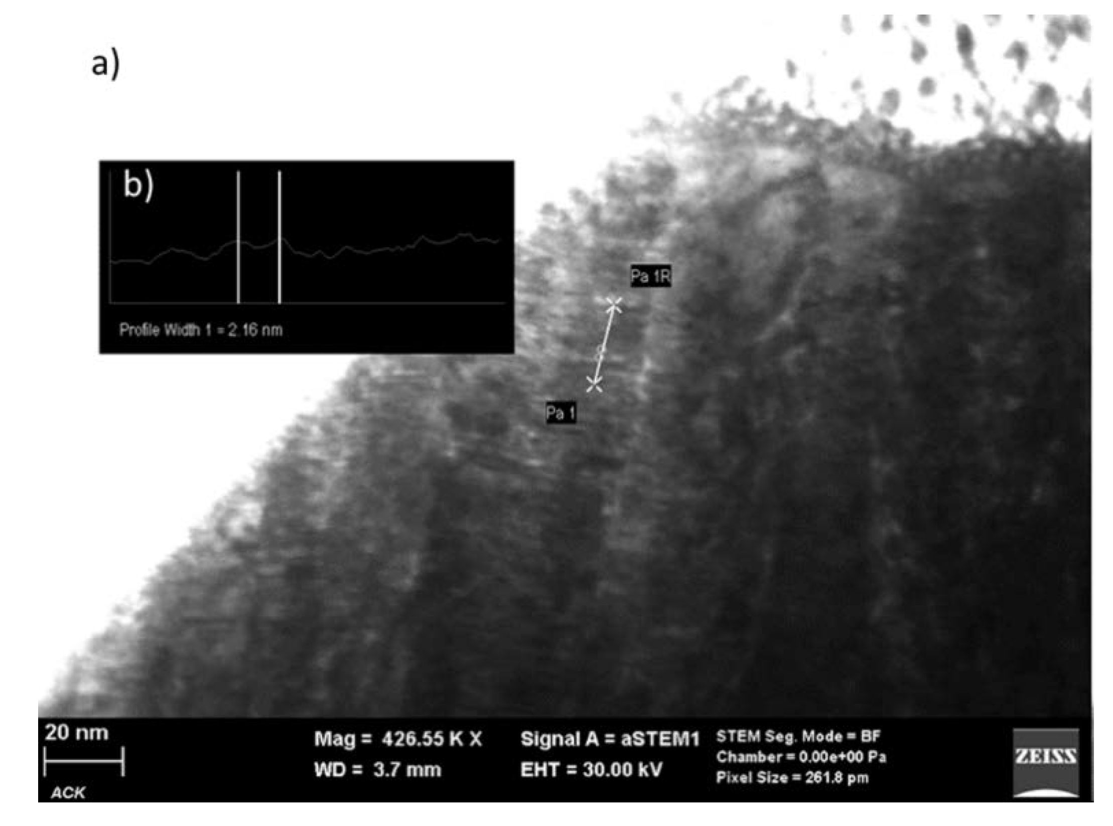 Coatings 10 00212 g008