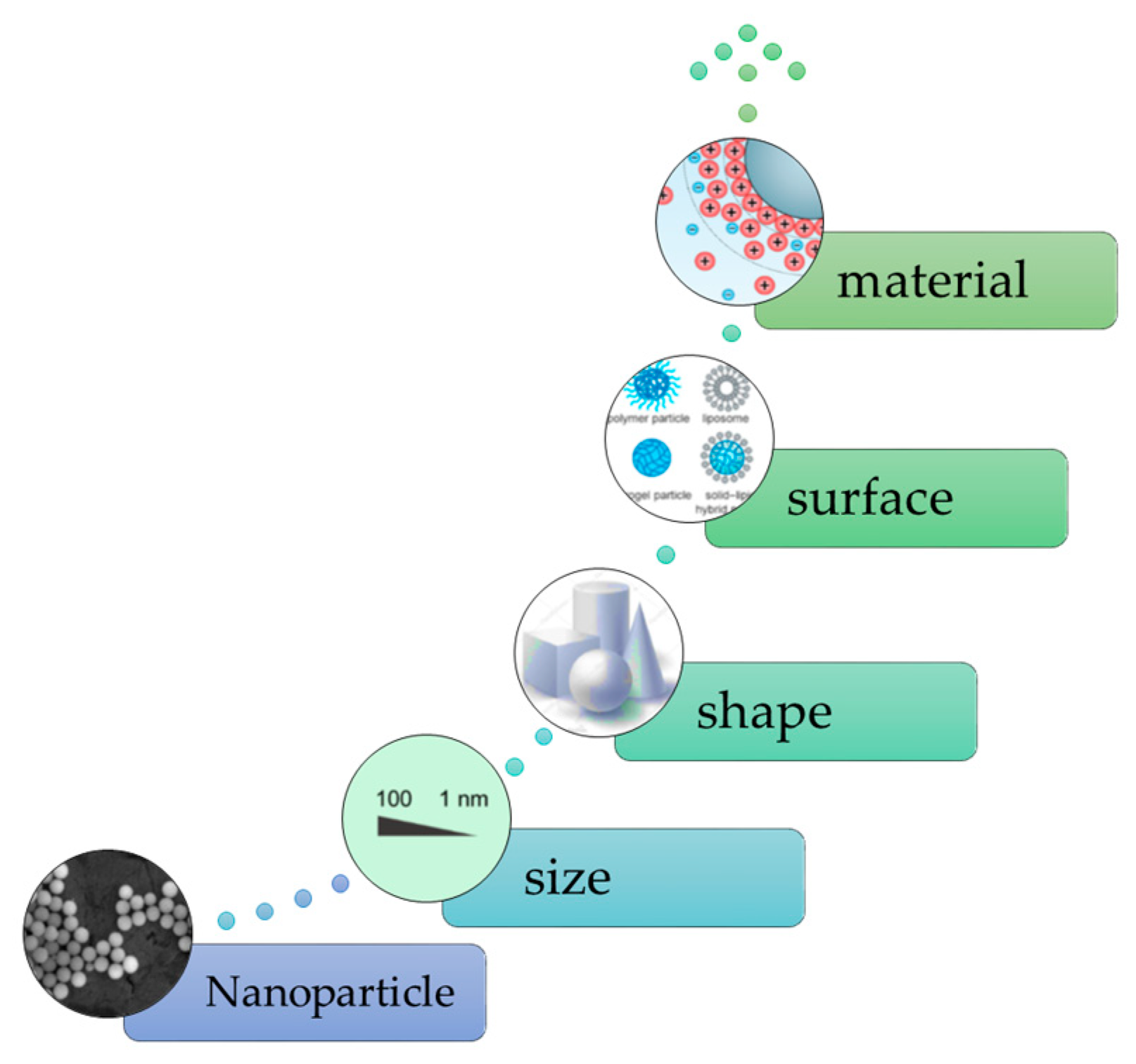 Coatings 10 00217 g009