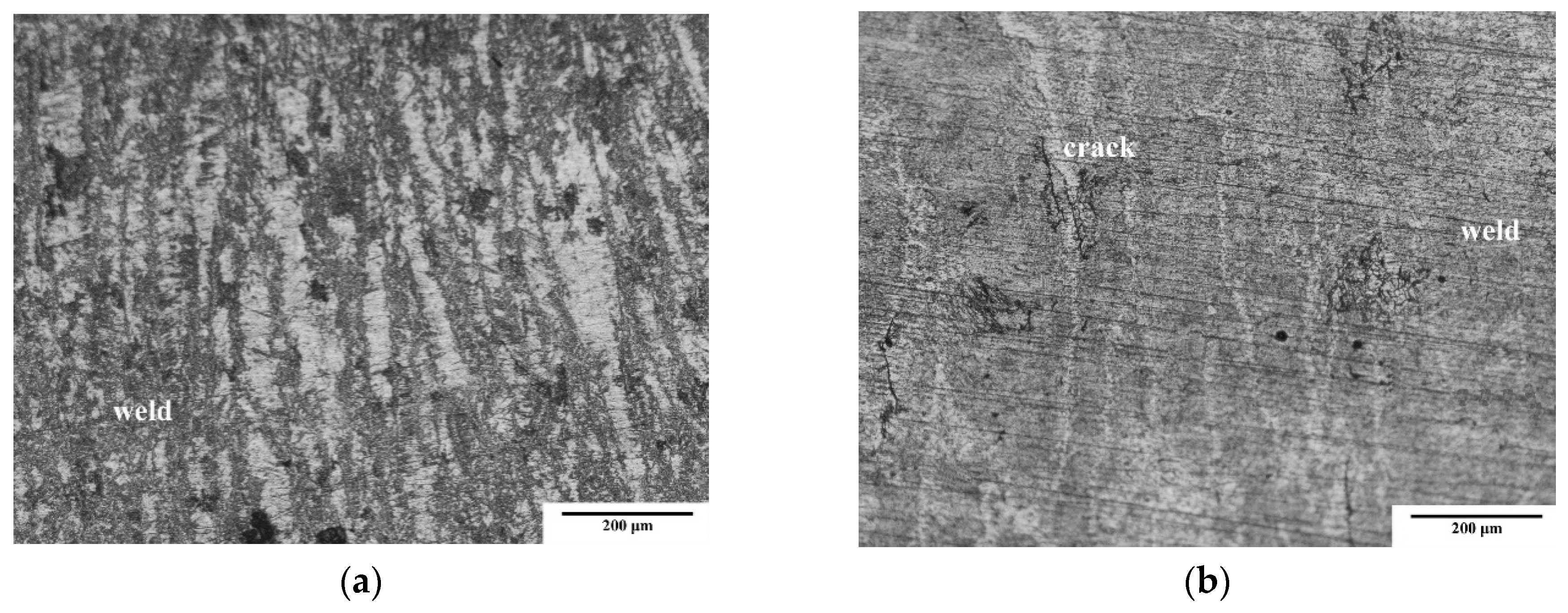 Coatings 10 00219 g009a