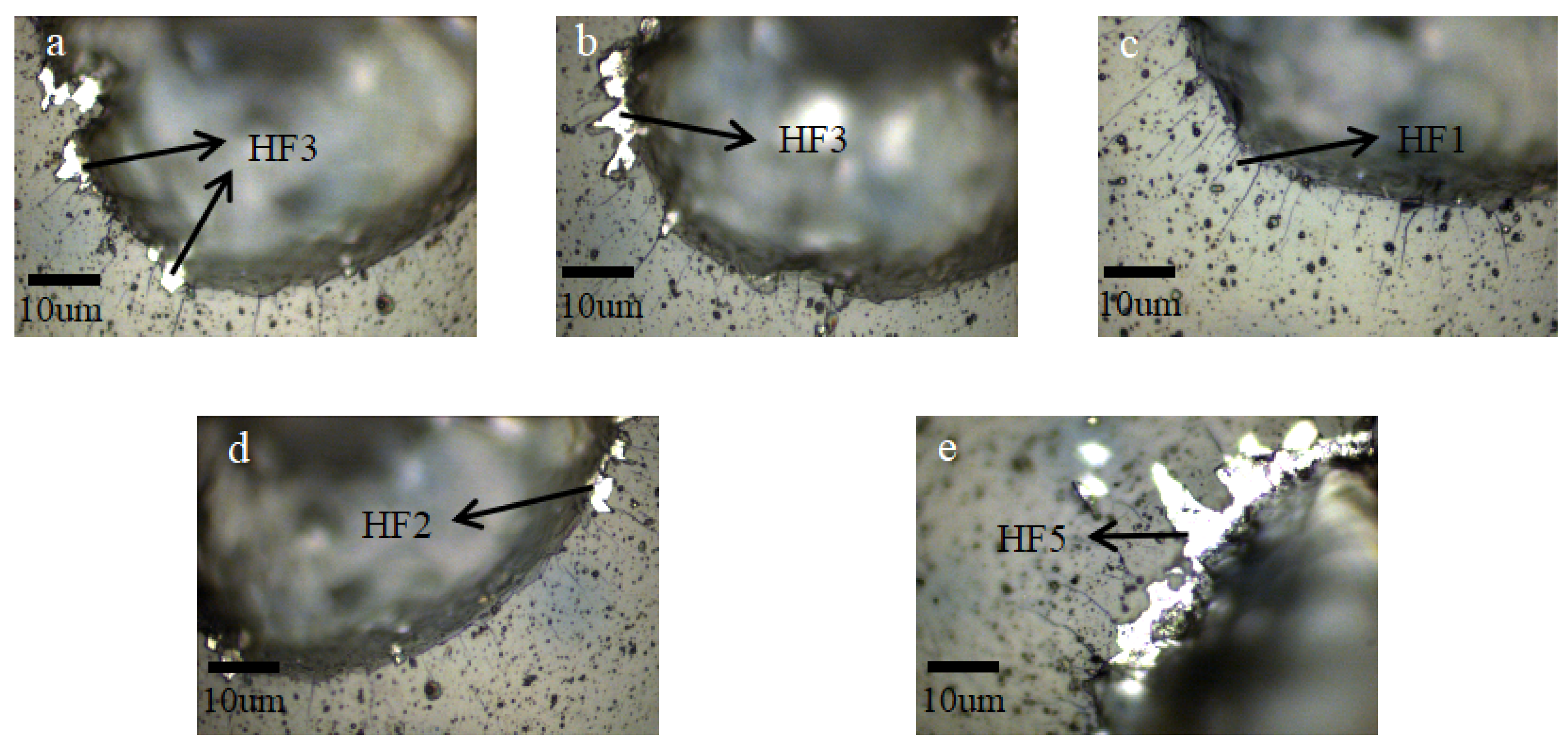 Coatings 10 00243 g006