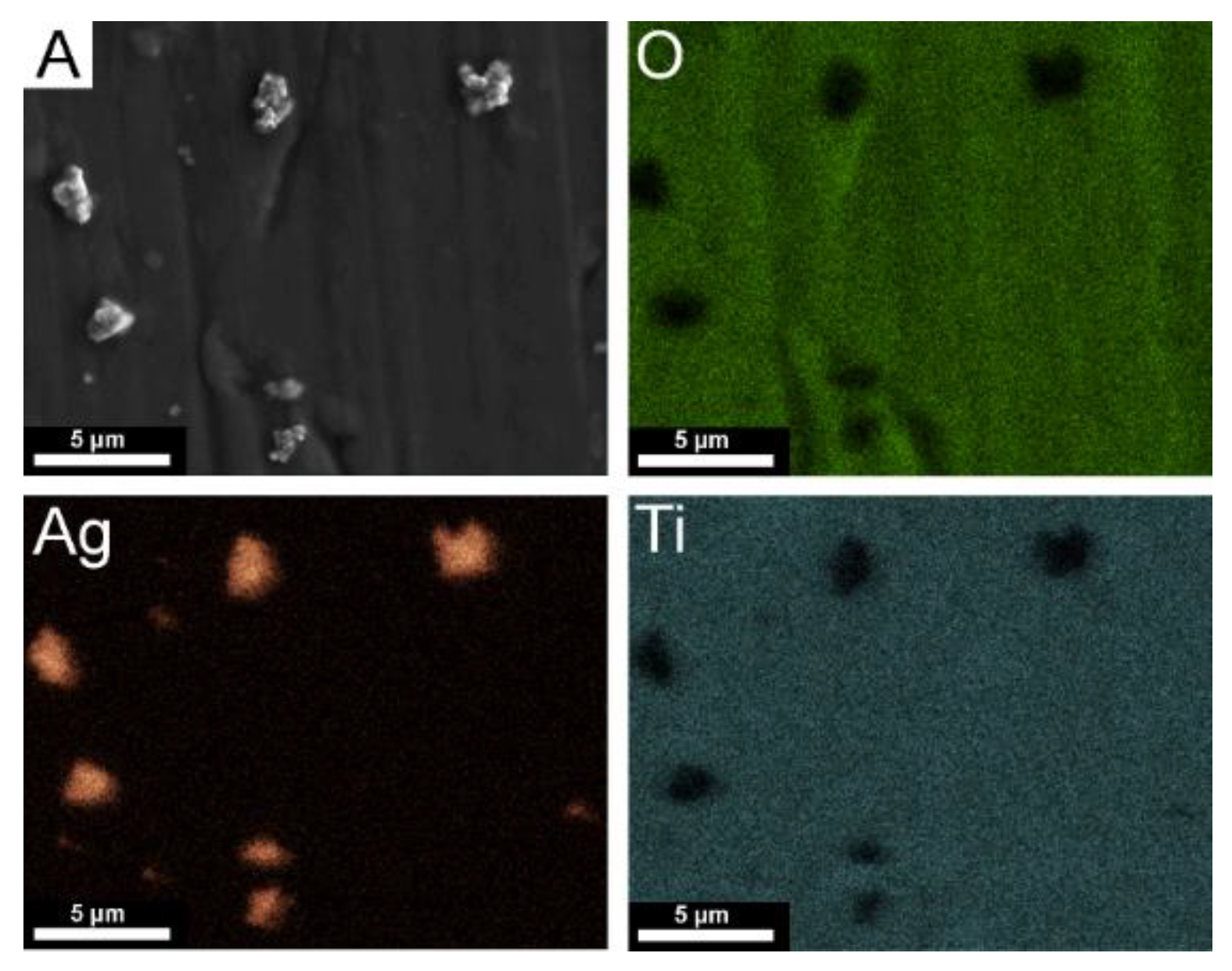 Coatings 10 00245 g005