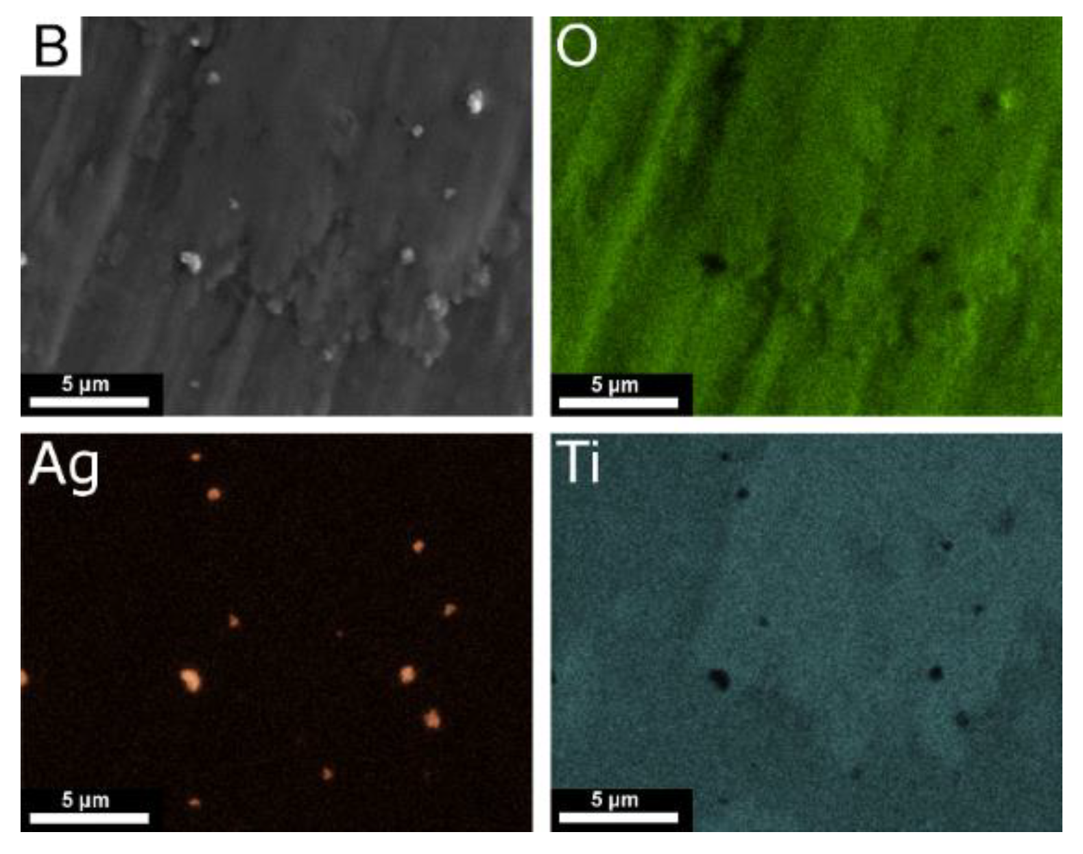Coatings 10 00245 g006