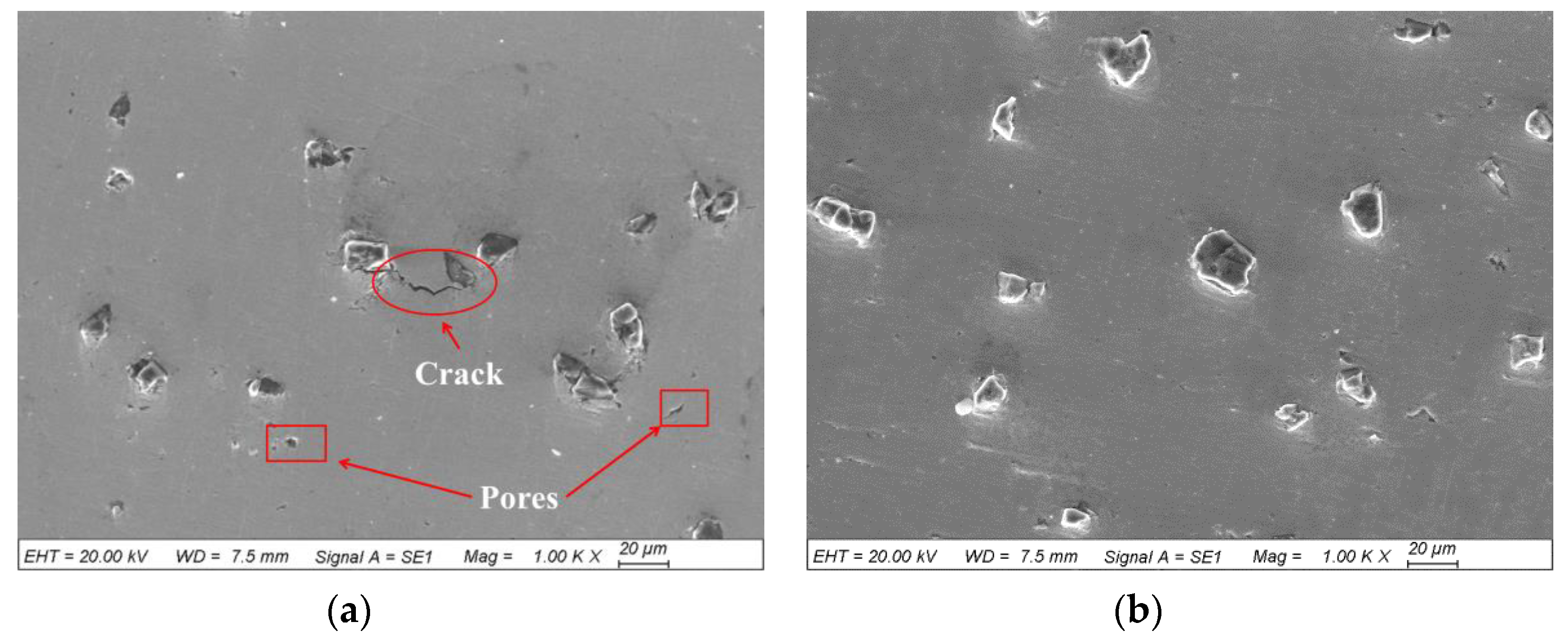 Coatings 10 00276 g005