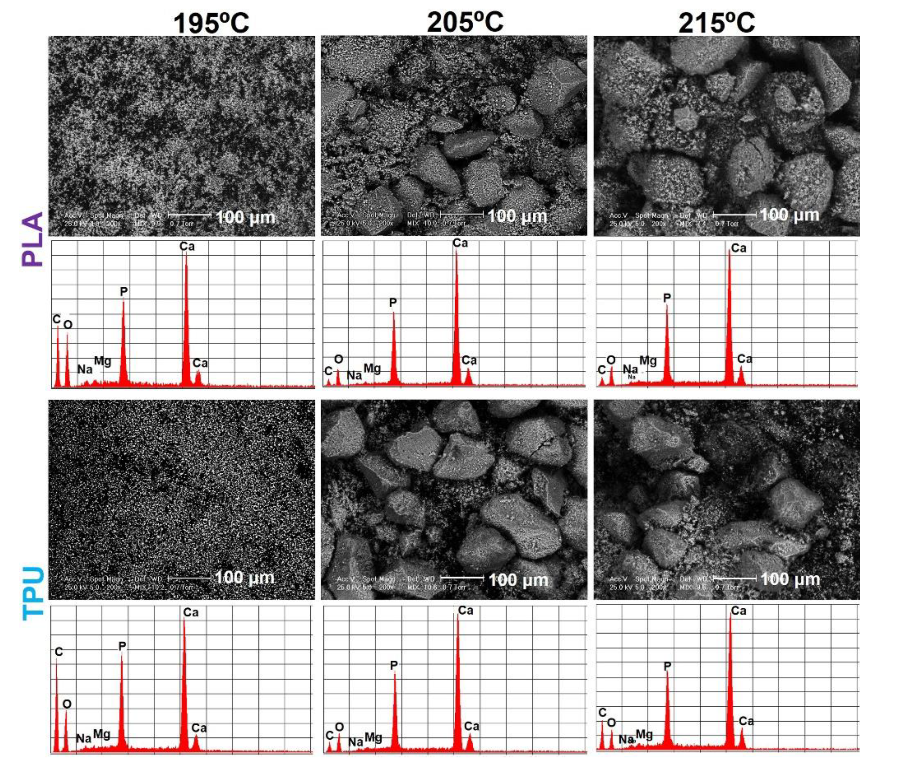 Coatings 10 00283 g002