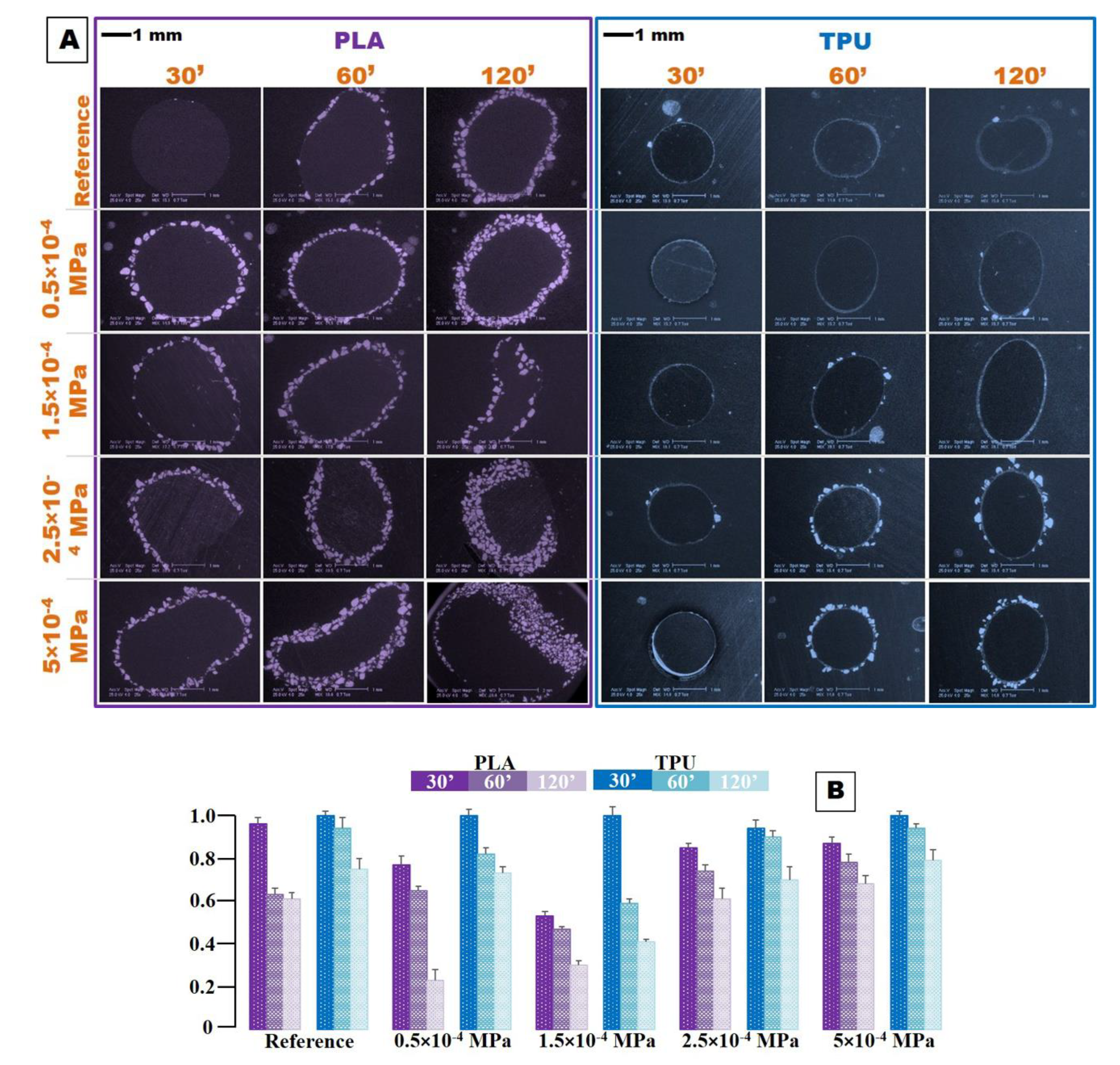 Coatings 10 00283 g005