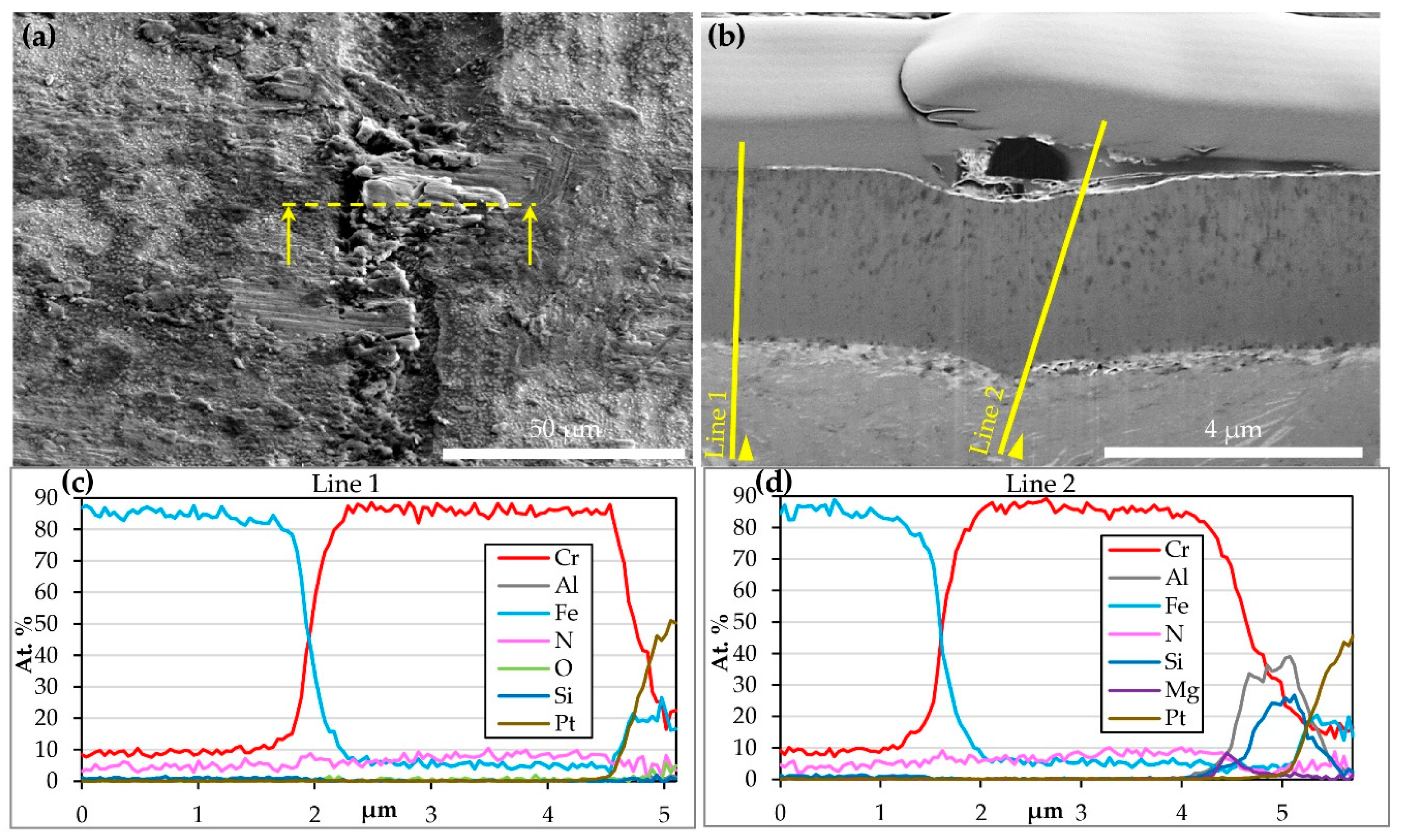 Coatings 10 00303 g004 Coatings 10 00303 g004