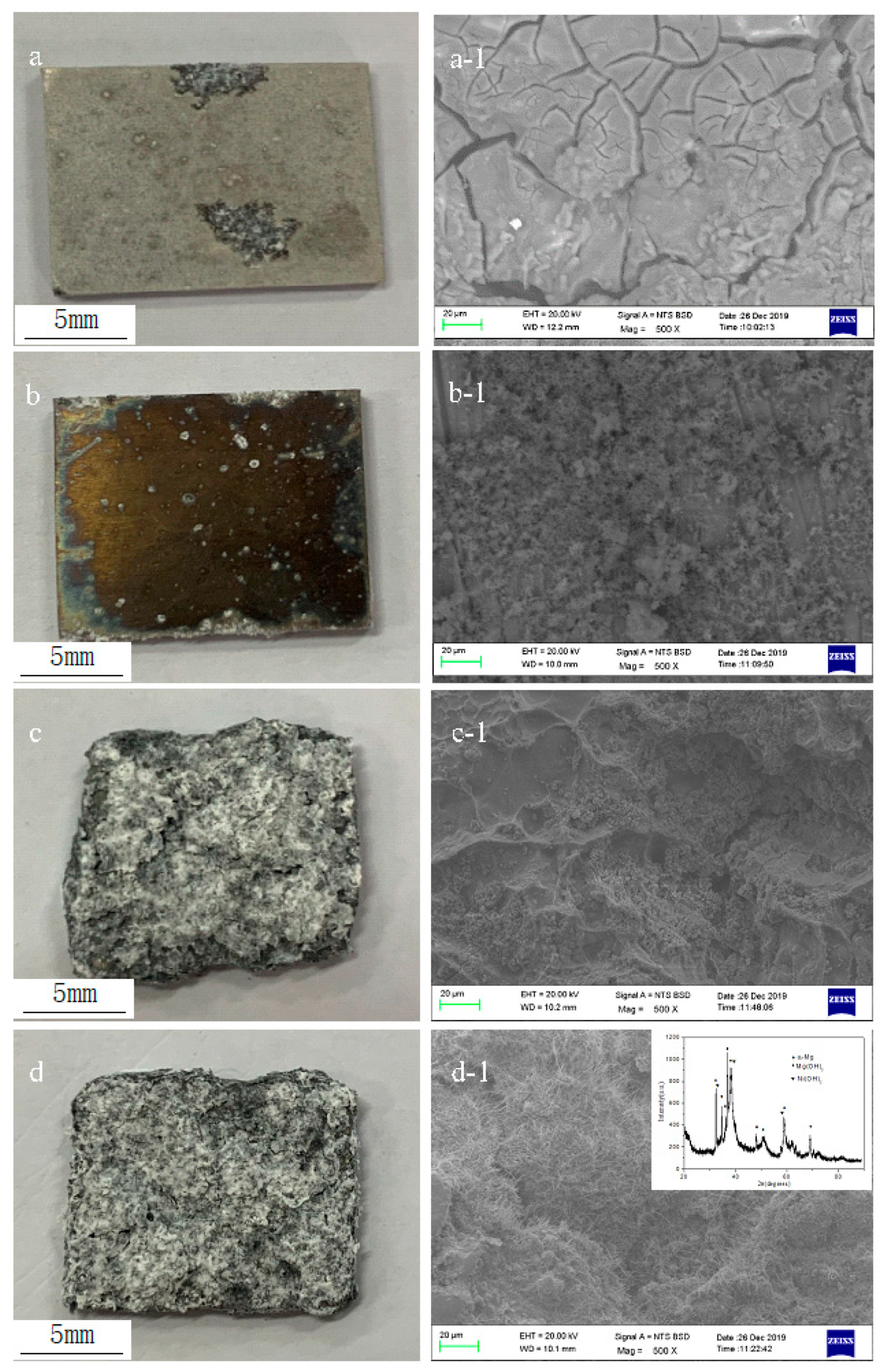 Coatings 10 00313 g004