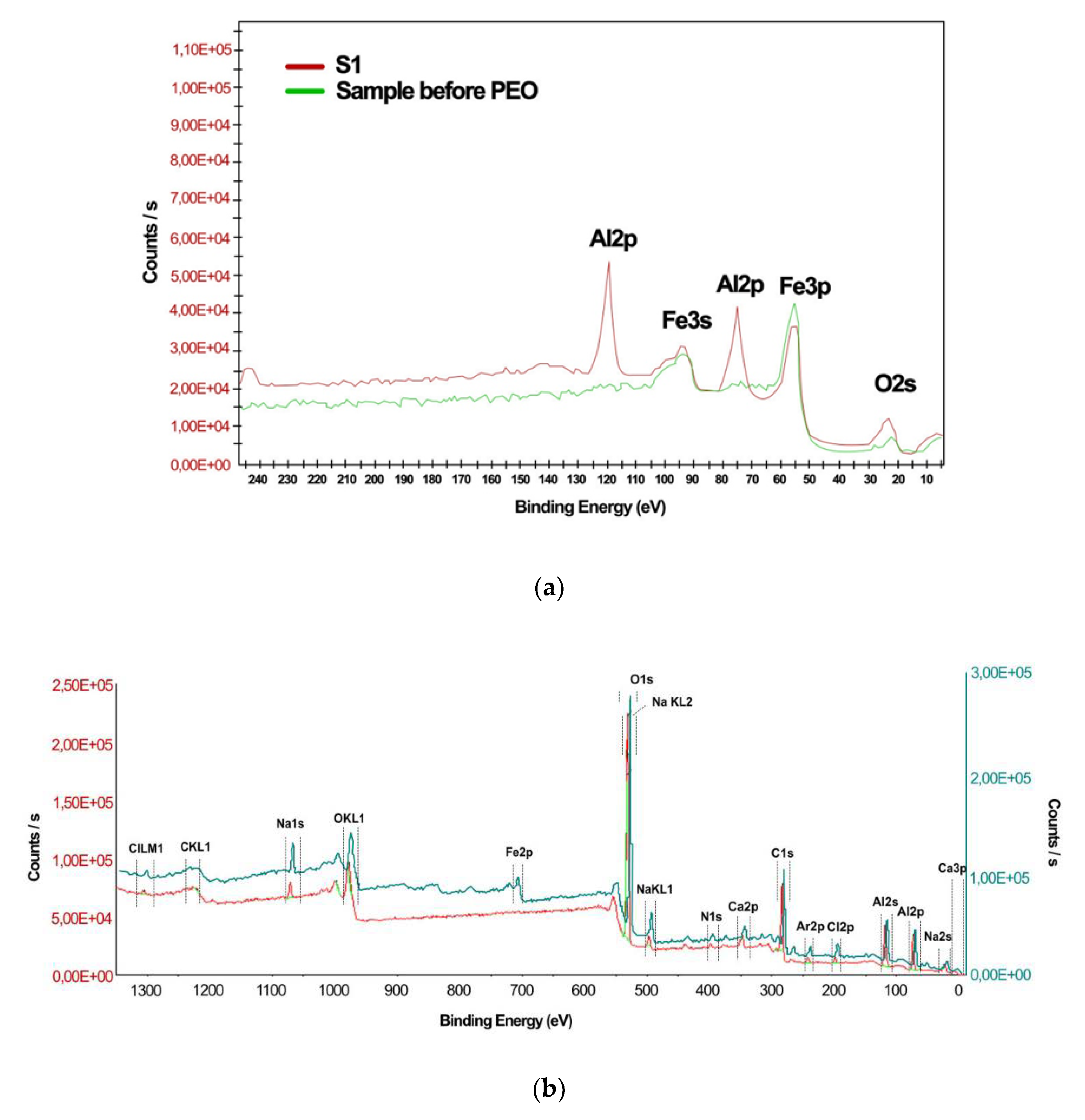 Coatings 10 00318 g001