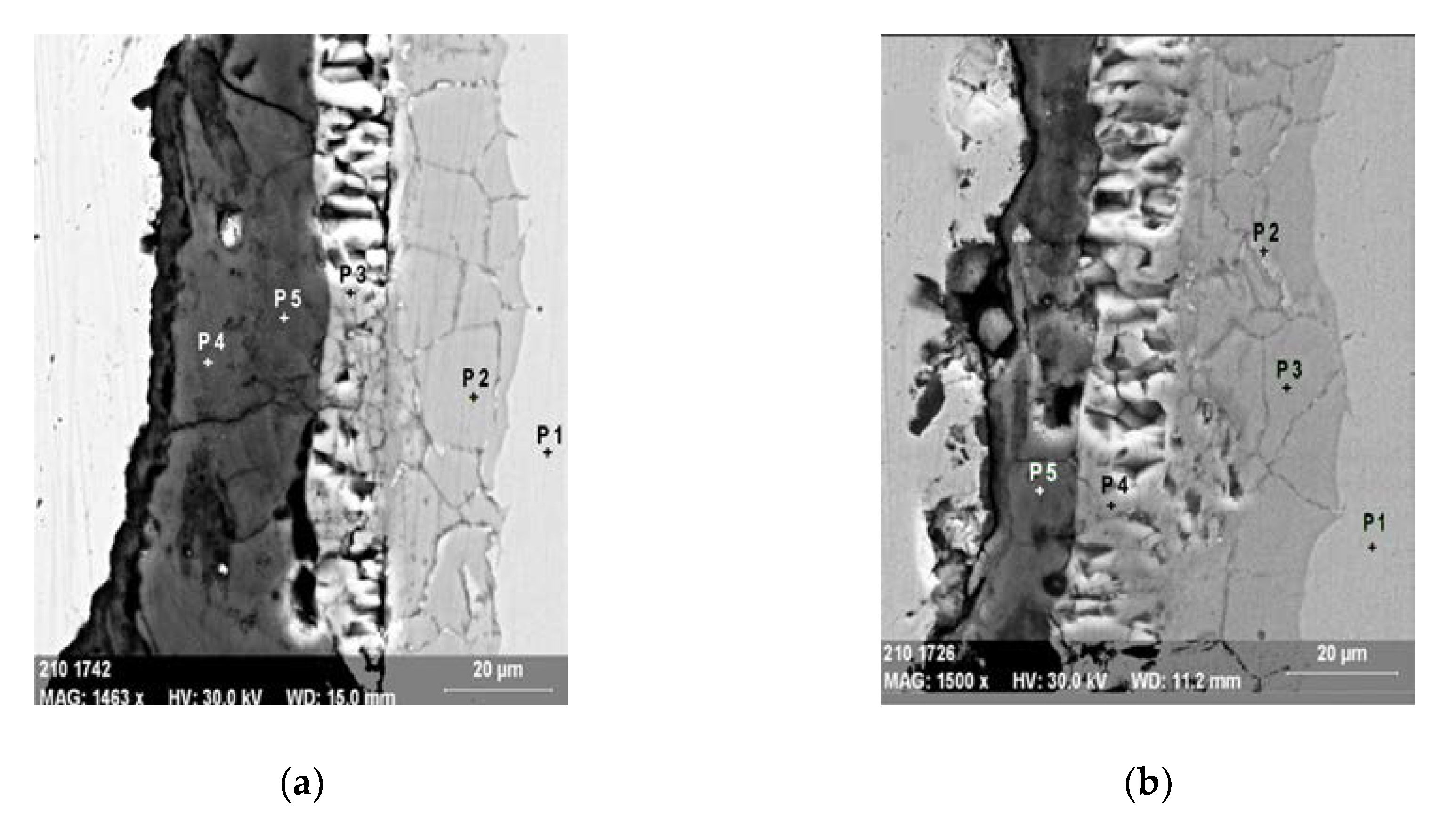 Coatings 10 00318 g007