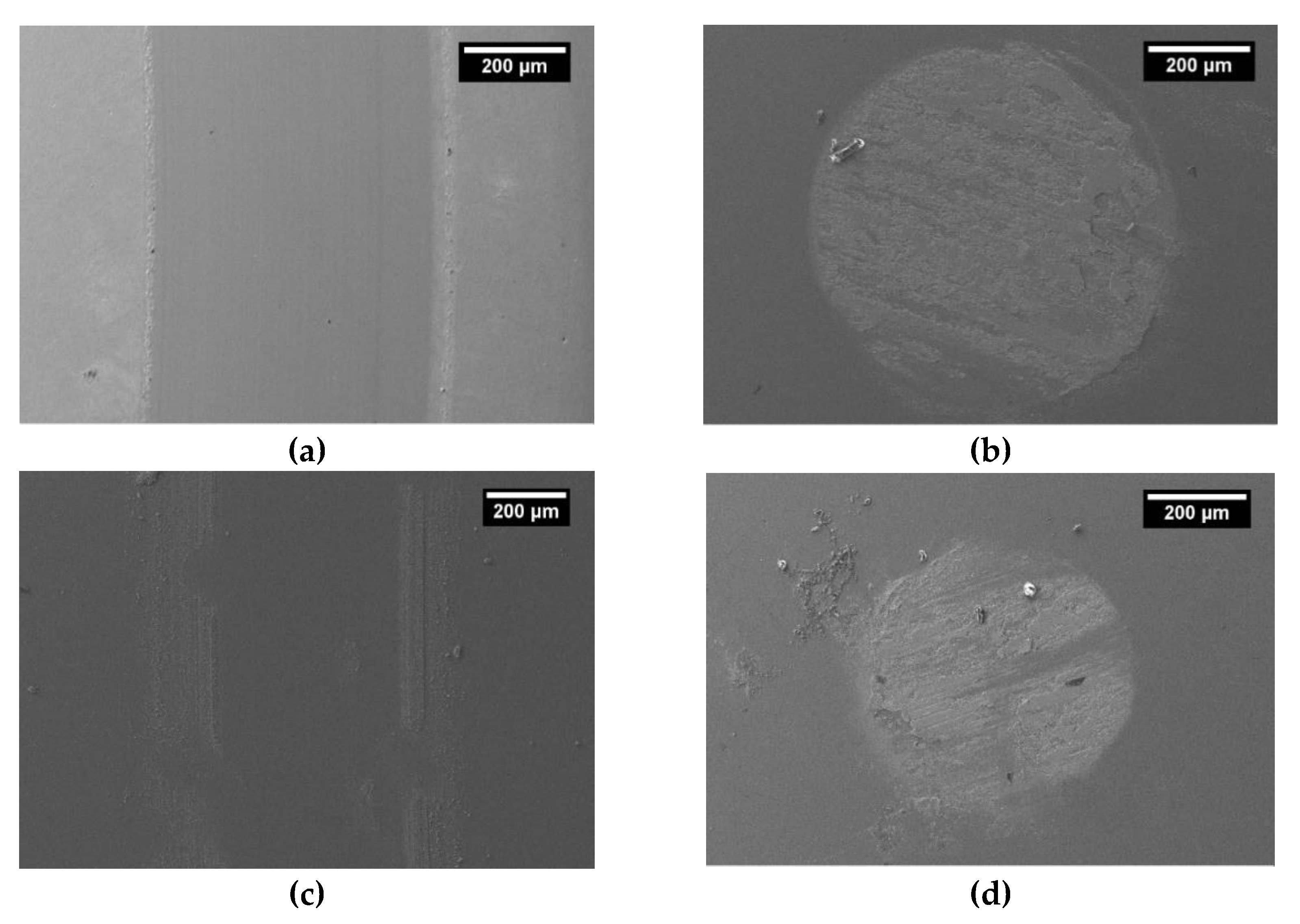 Coatings 10 00319 g008a