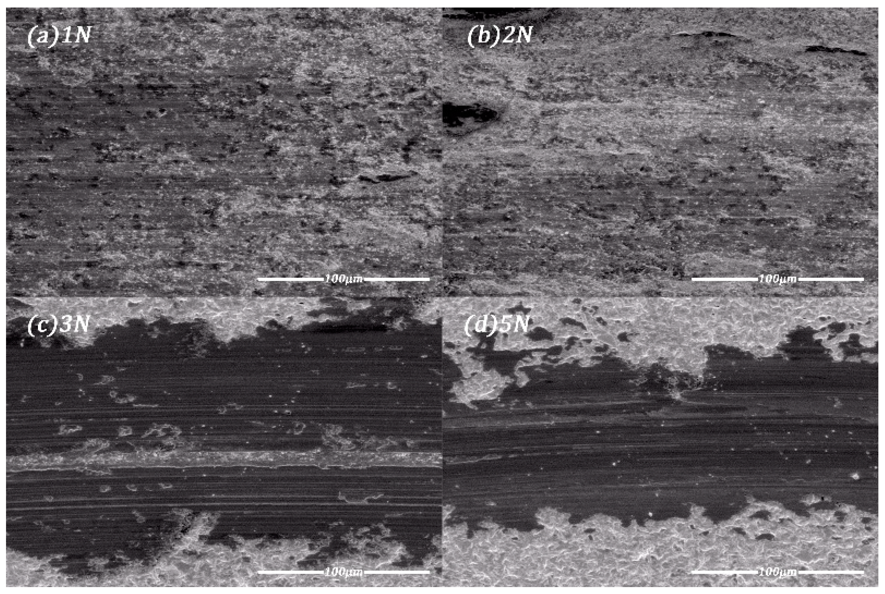 Coatings 10 00322 g007