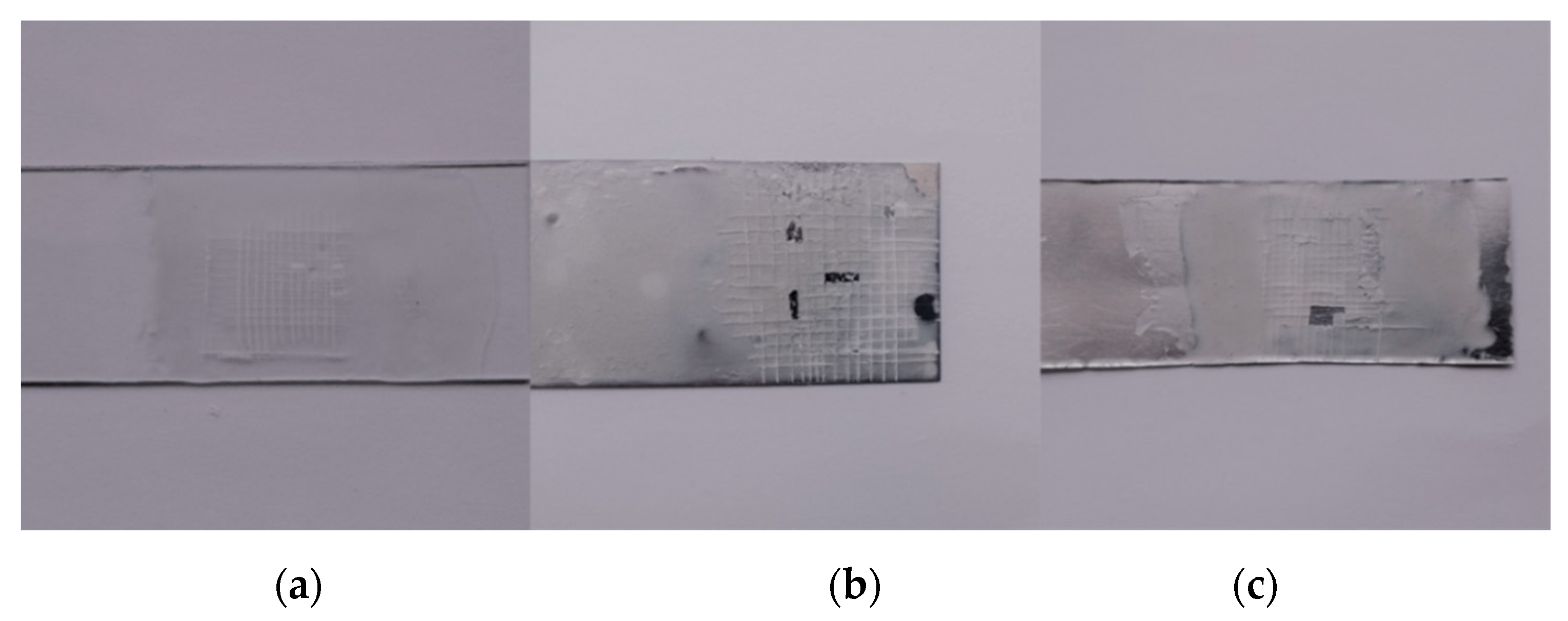 Coatings 10 00350 g004