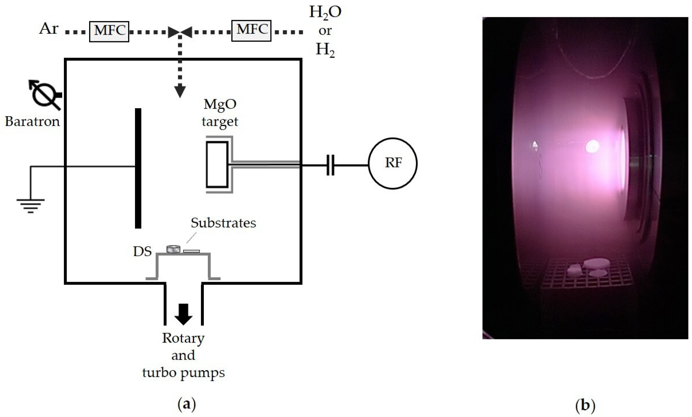 Coatings 10 00356 g001