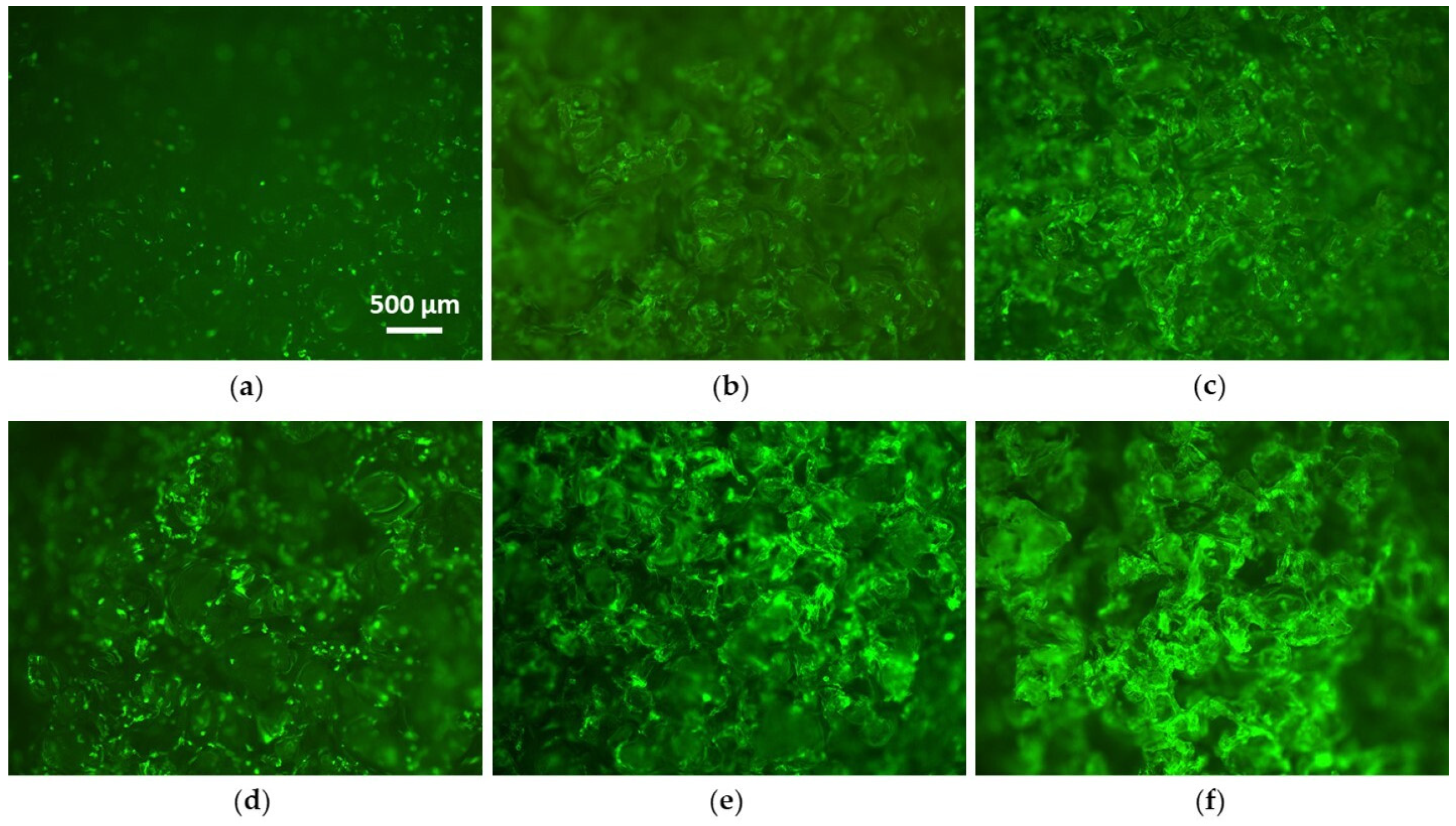 Coatings 10 00356 g008