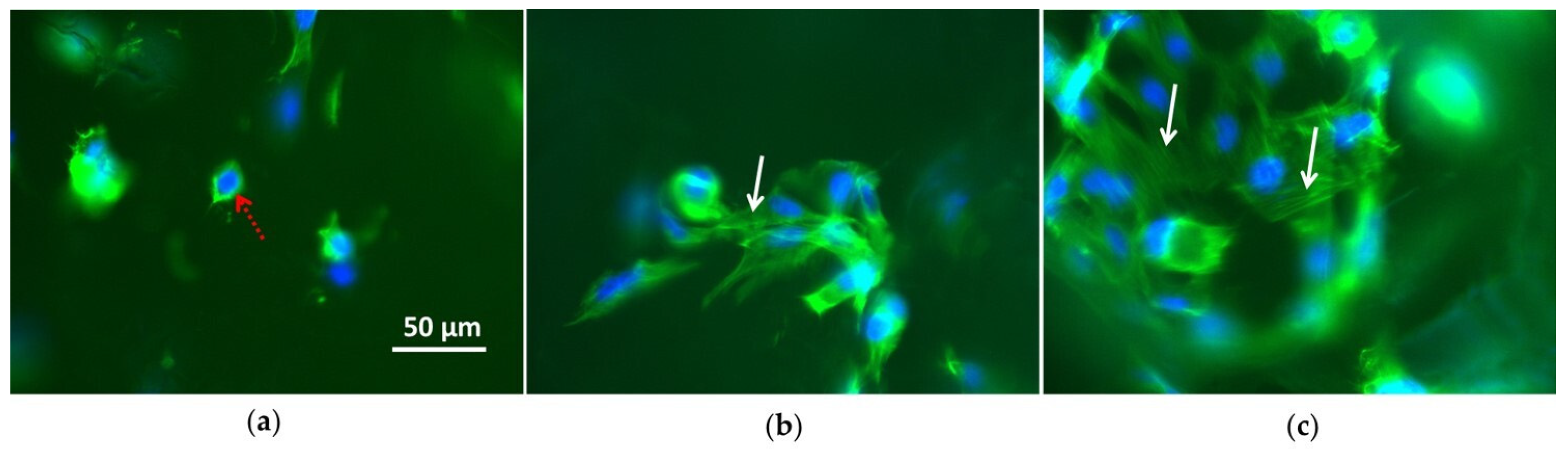 Coatings 10 00356 g009