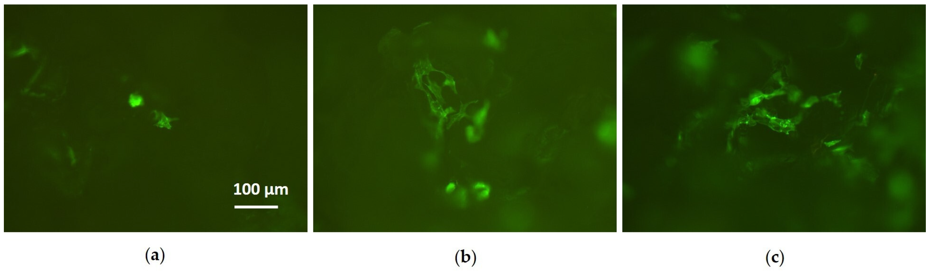 Coatings 10 00356 g010