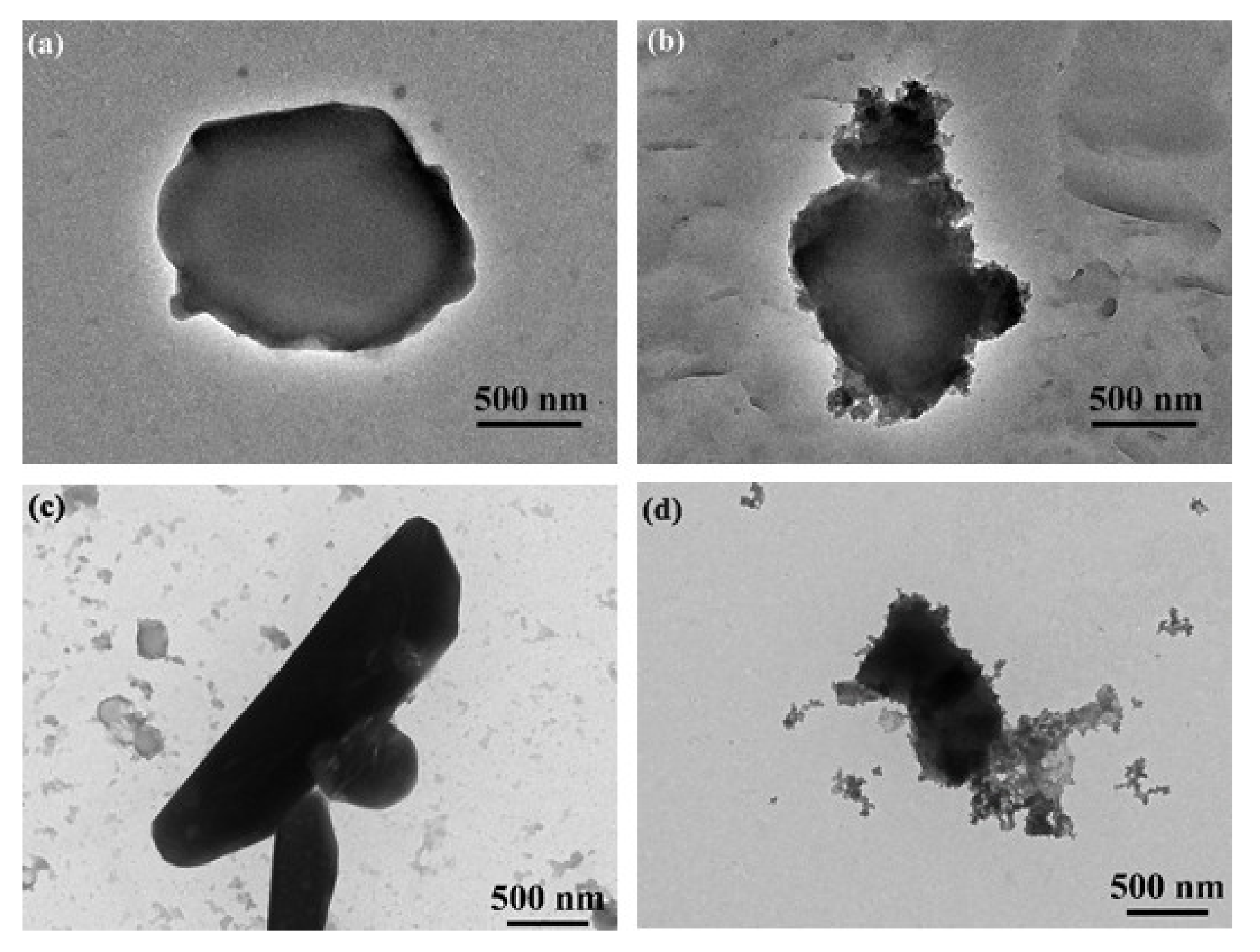Coatings 10 00359 g001 Coatings 10 00359 g001