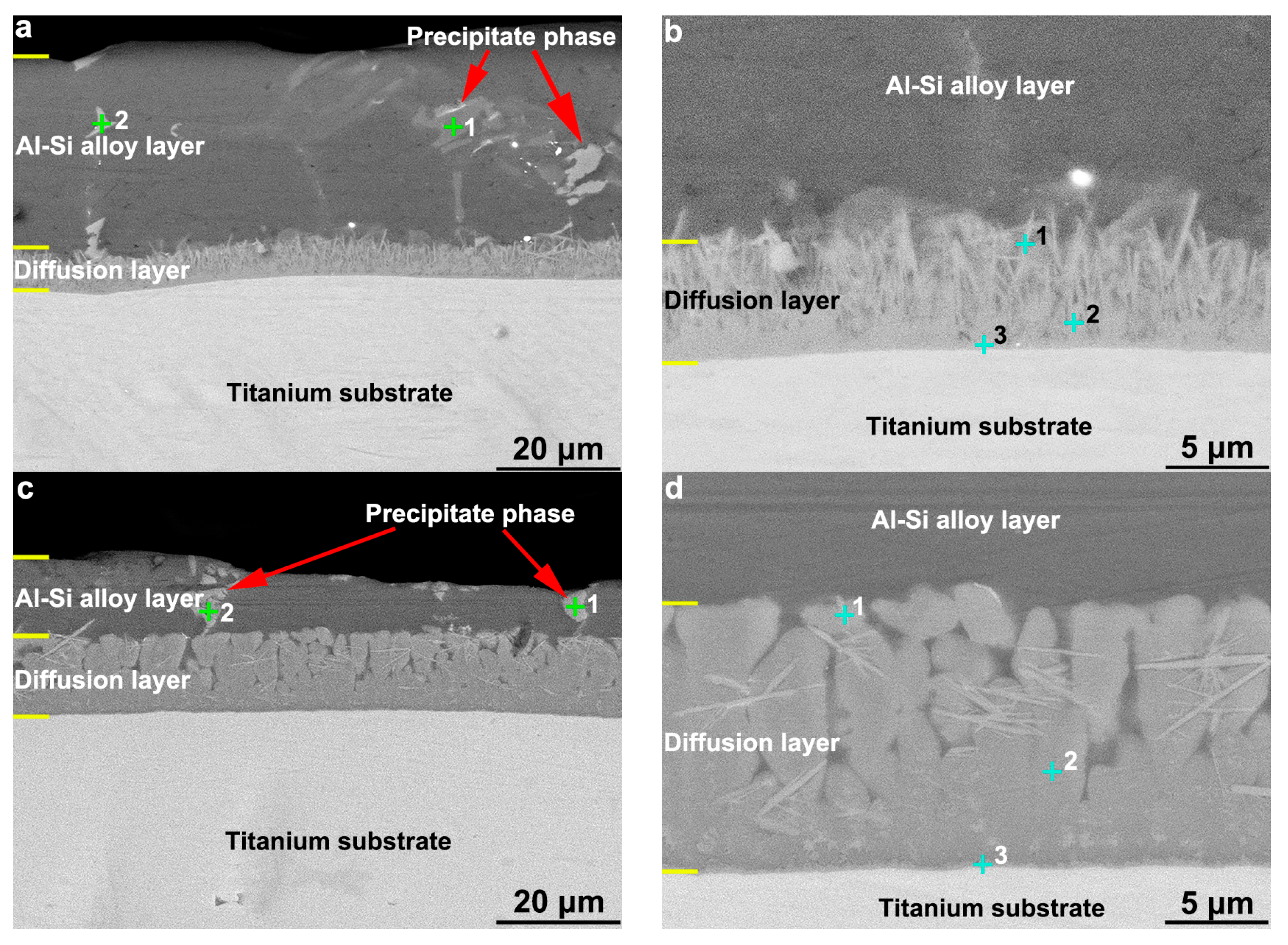 Coatings | Free Full-Text | Micrographic Properties of Composite Coatings  Prepared on TA2 Substrate by Hot-Dipping in Al–Si Alloy and Using Micro-Arc  Oxidation Technologies (MAO)