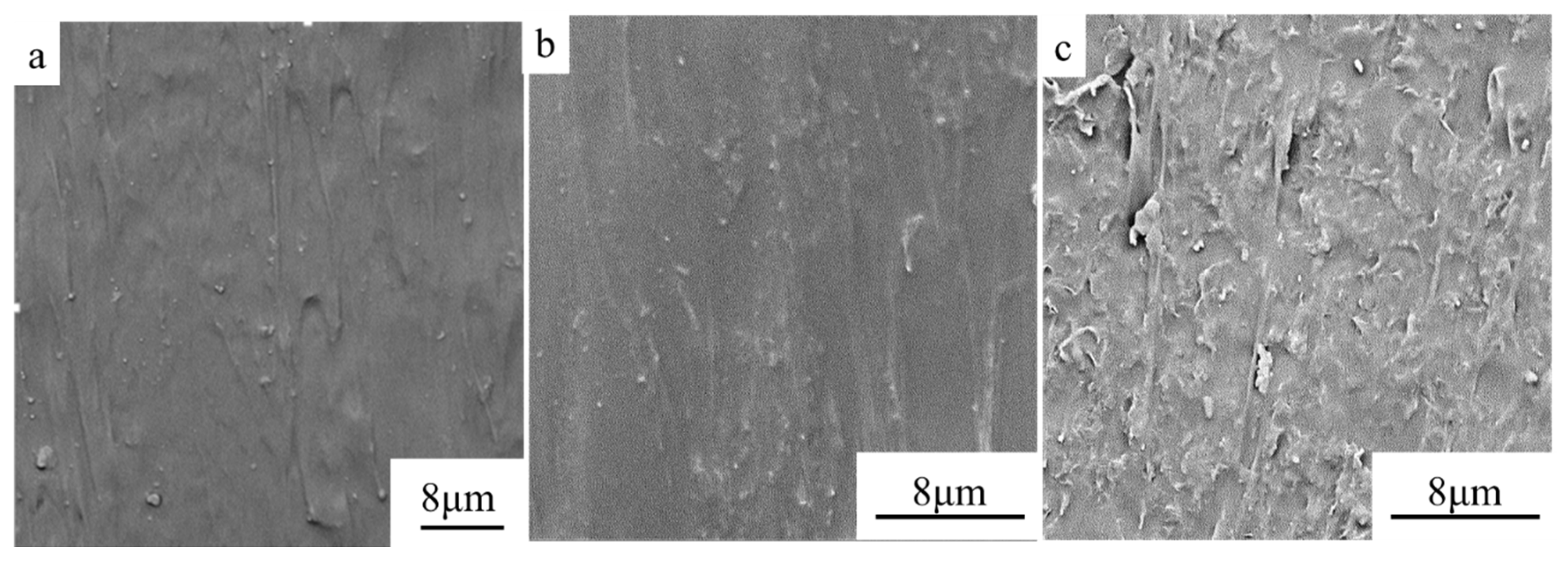 Coatings 10 00400 g005