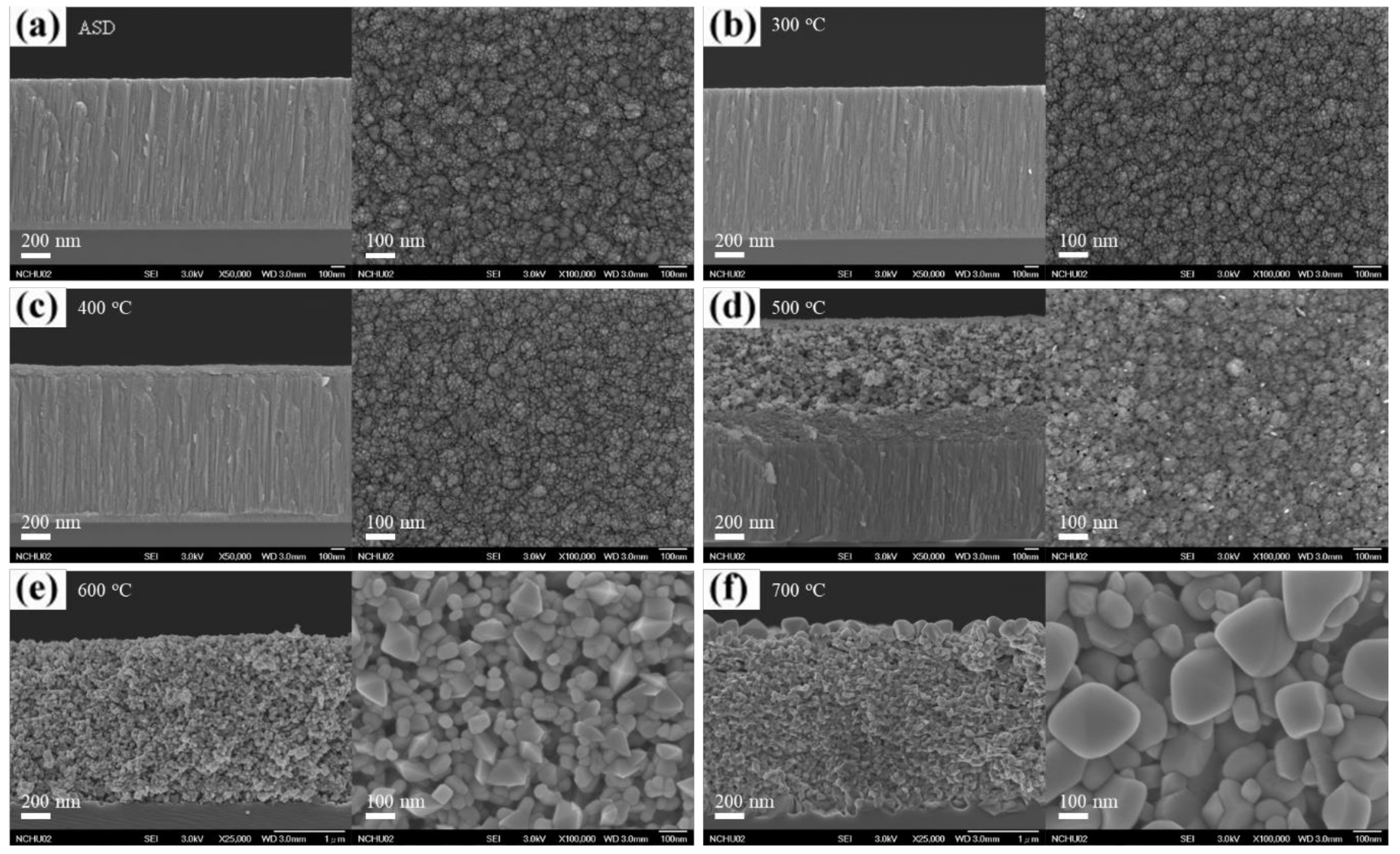 Coatings 10 00415 g003
