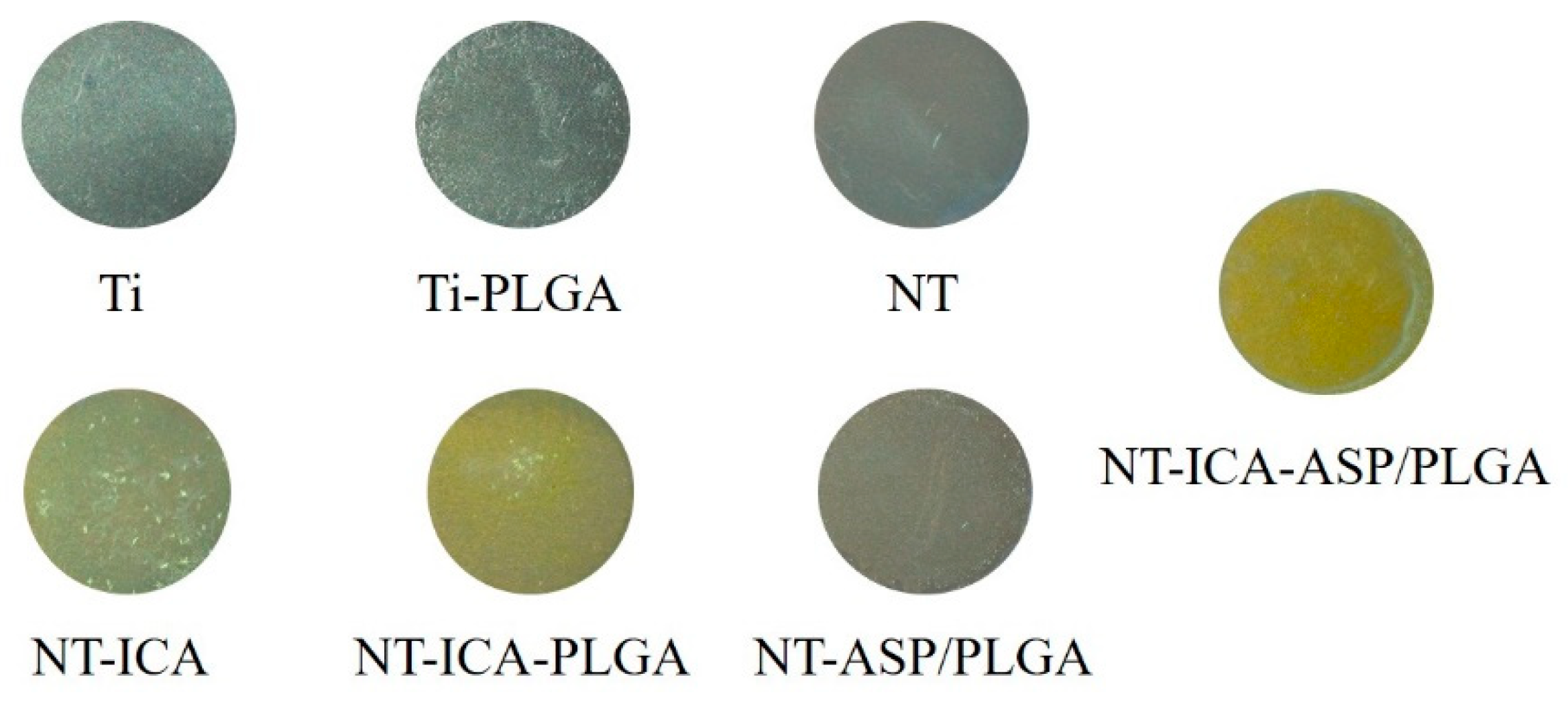 Coatings 10 00427 g001