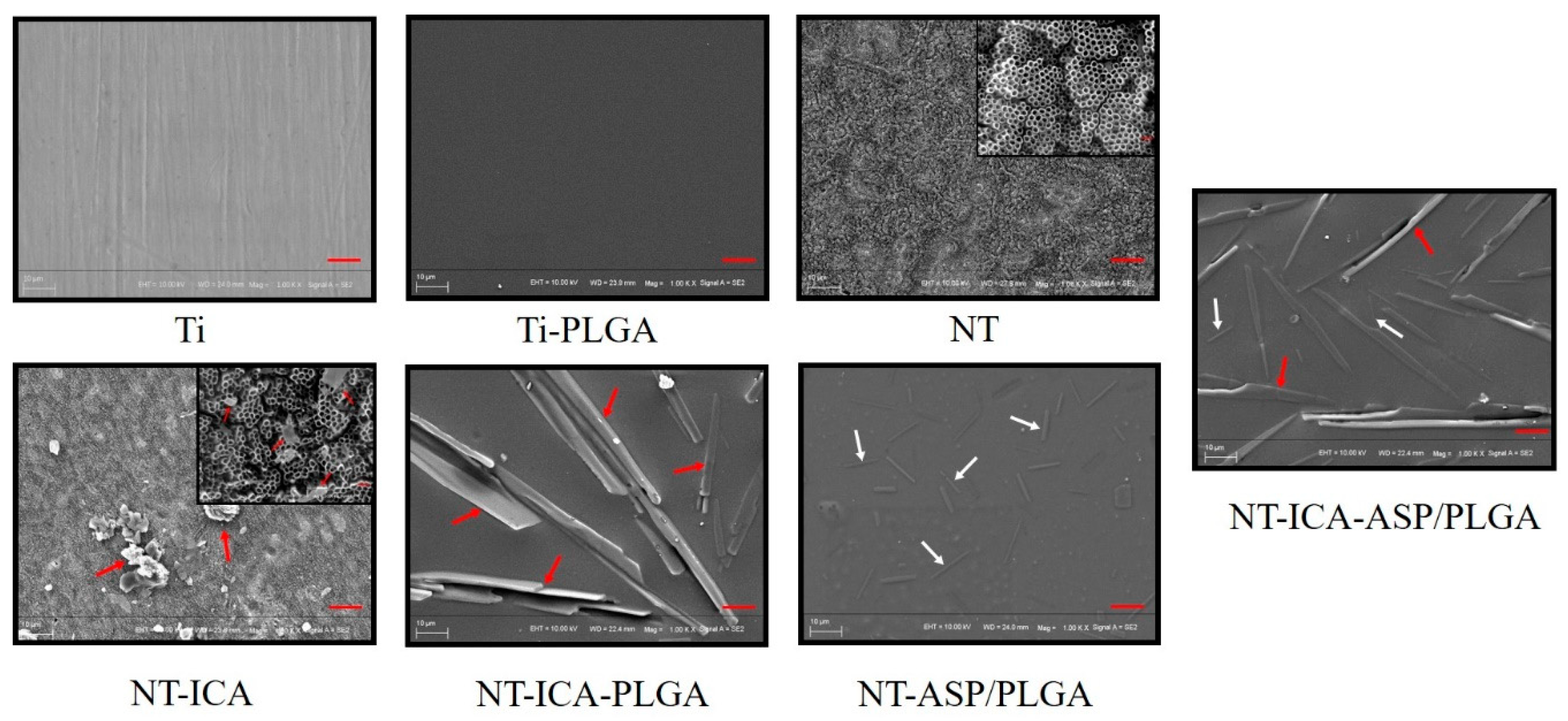 Coatings 10 00427 g002
