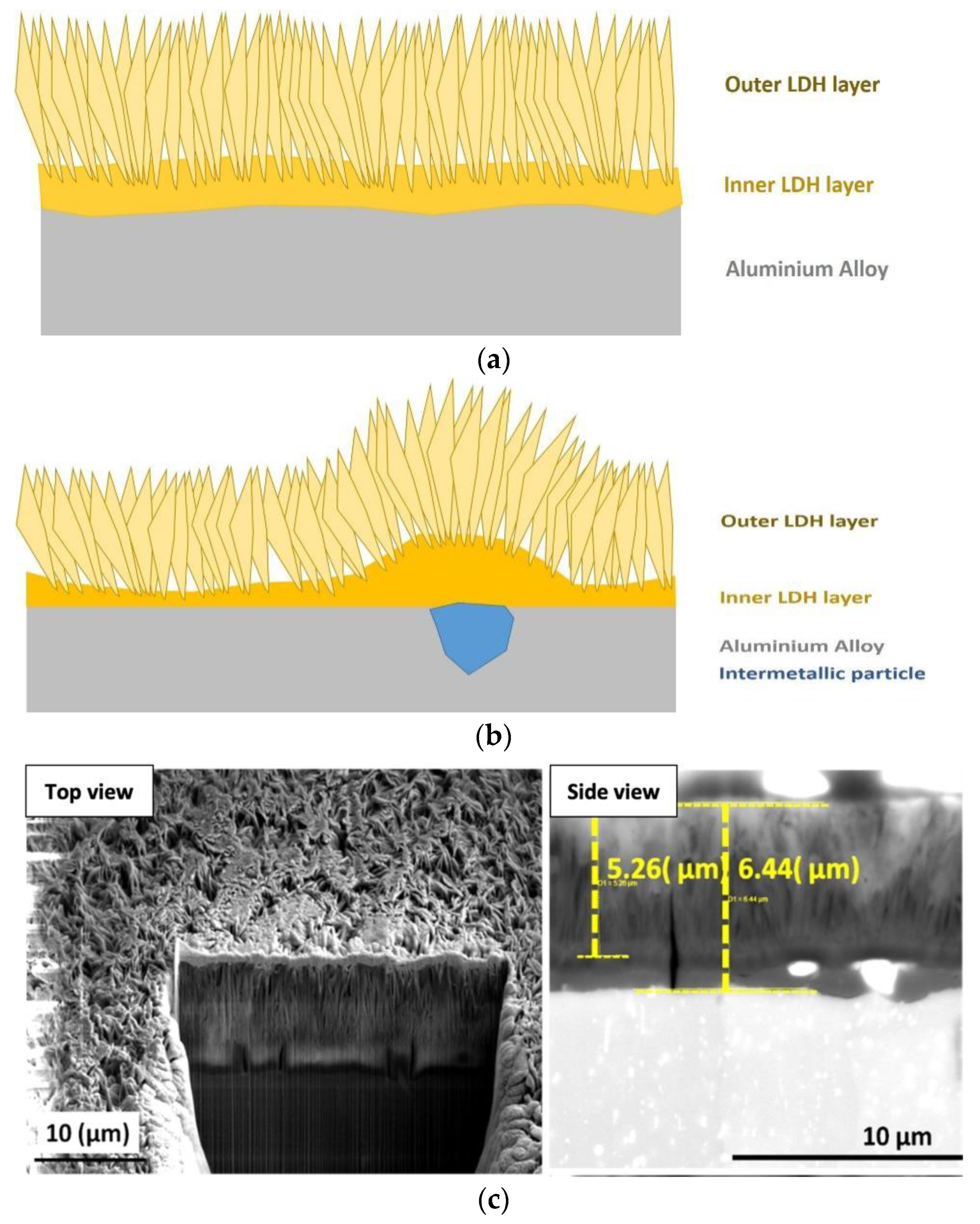 Coatings  Free Full-Text  Layered Double Hydroxide Protective Films 