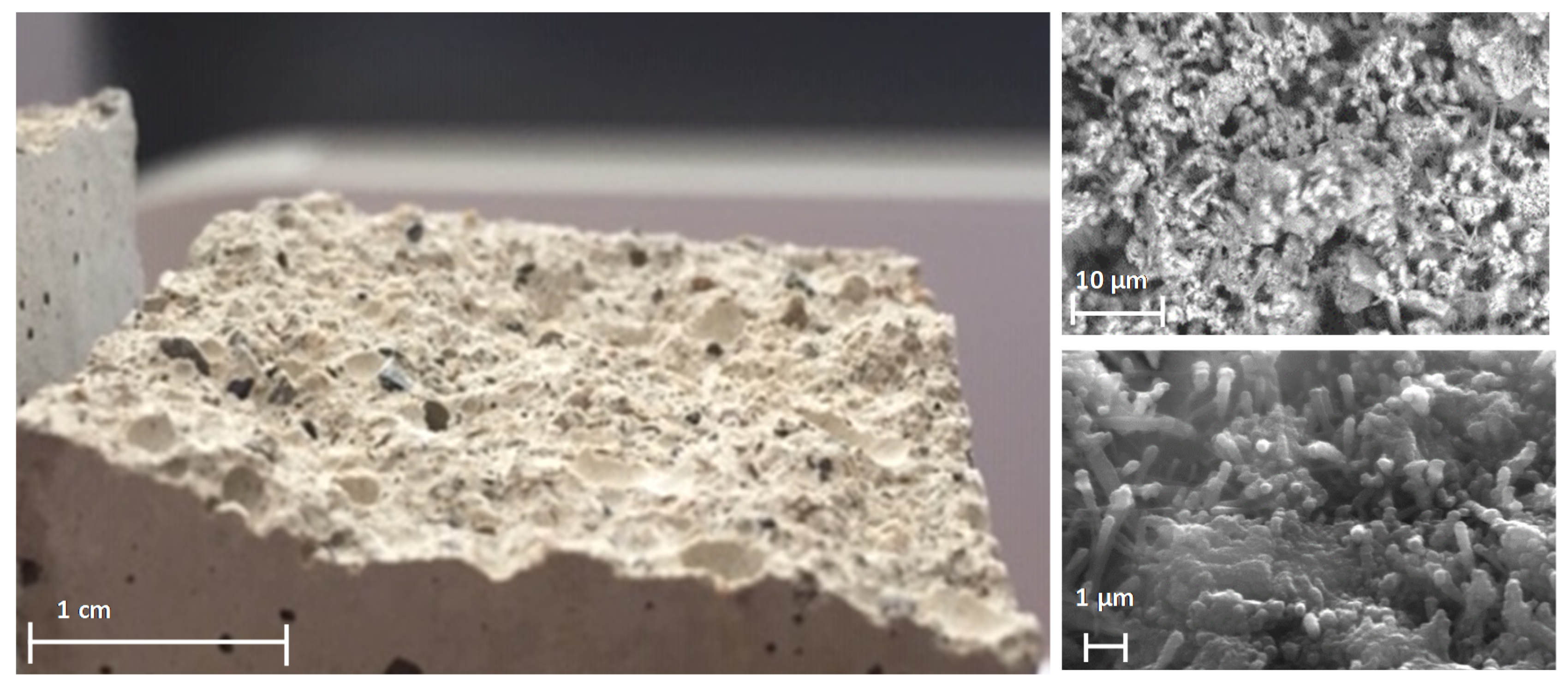 Coatings 10 00449 g001