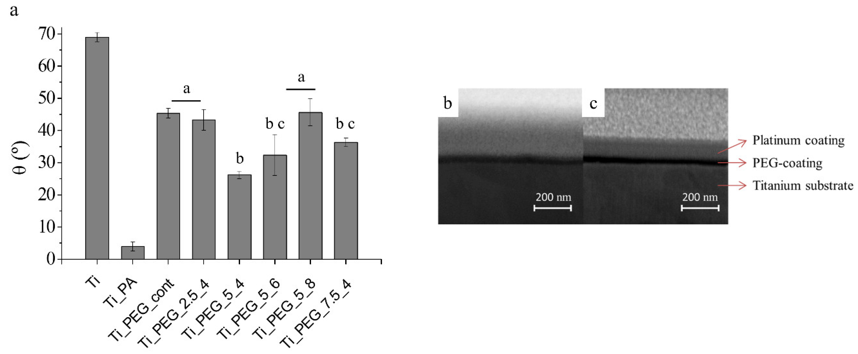 Coatings 10 00456 g001